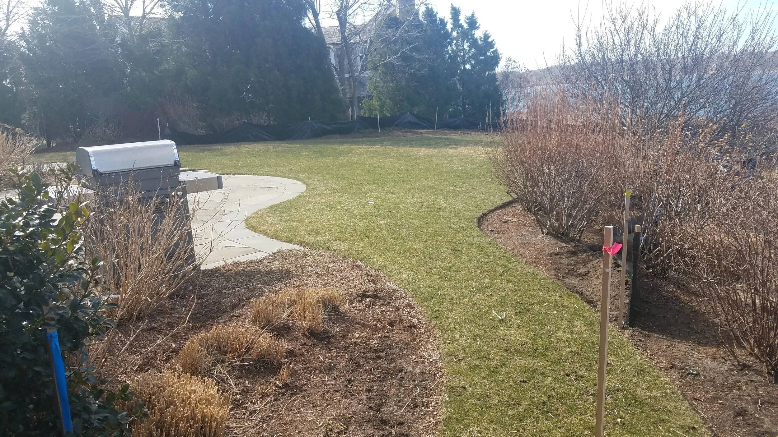 20190331_100143.jpg