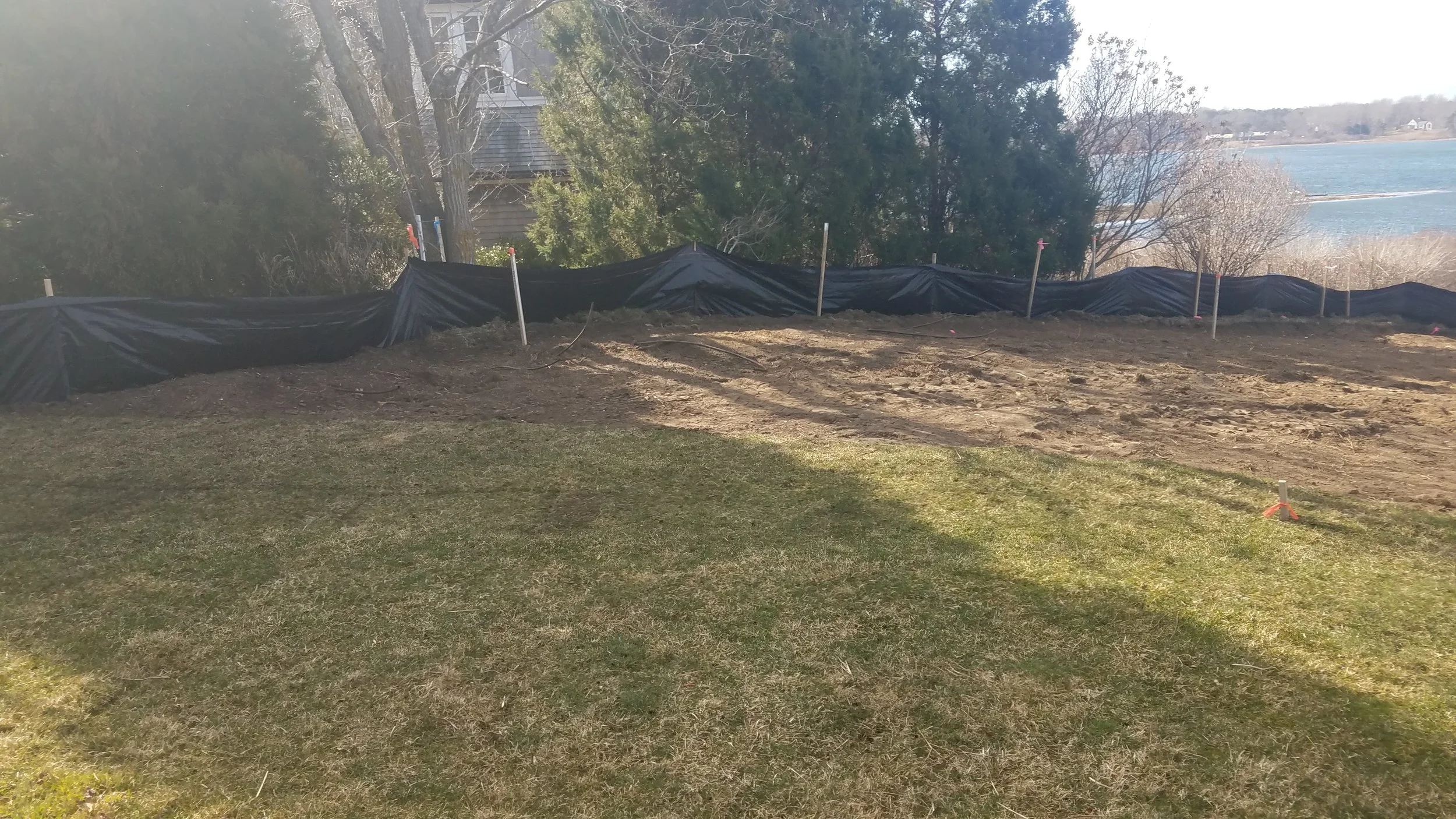 20190331_100159.jpg