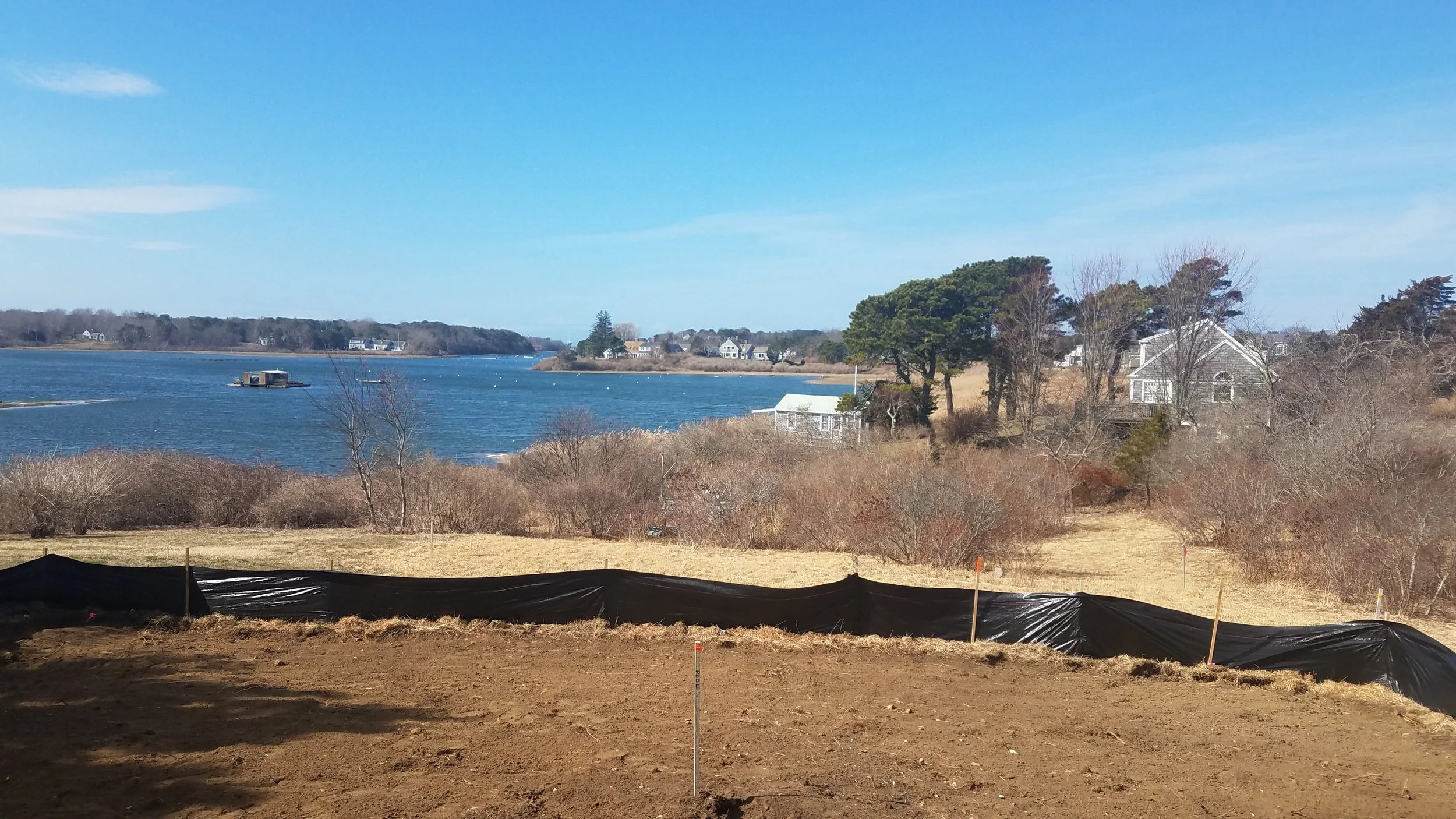 20190331_100213.jpg
