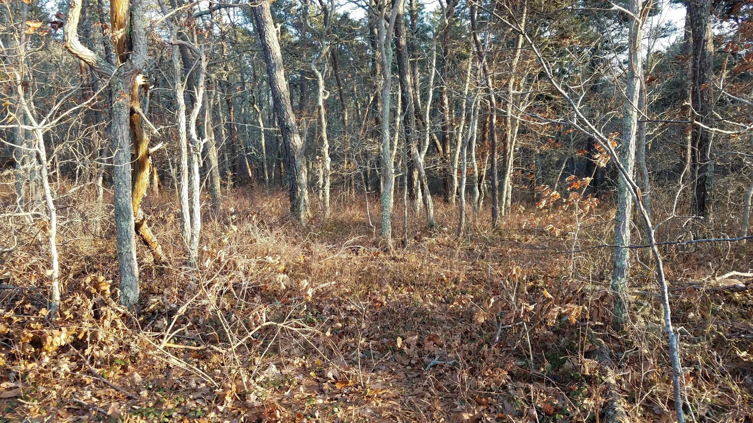 20190403_181340.jpg