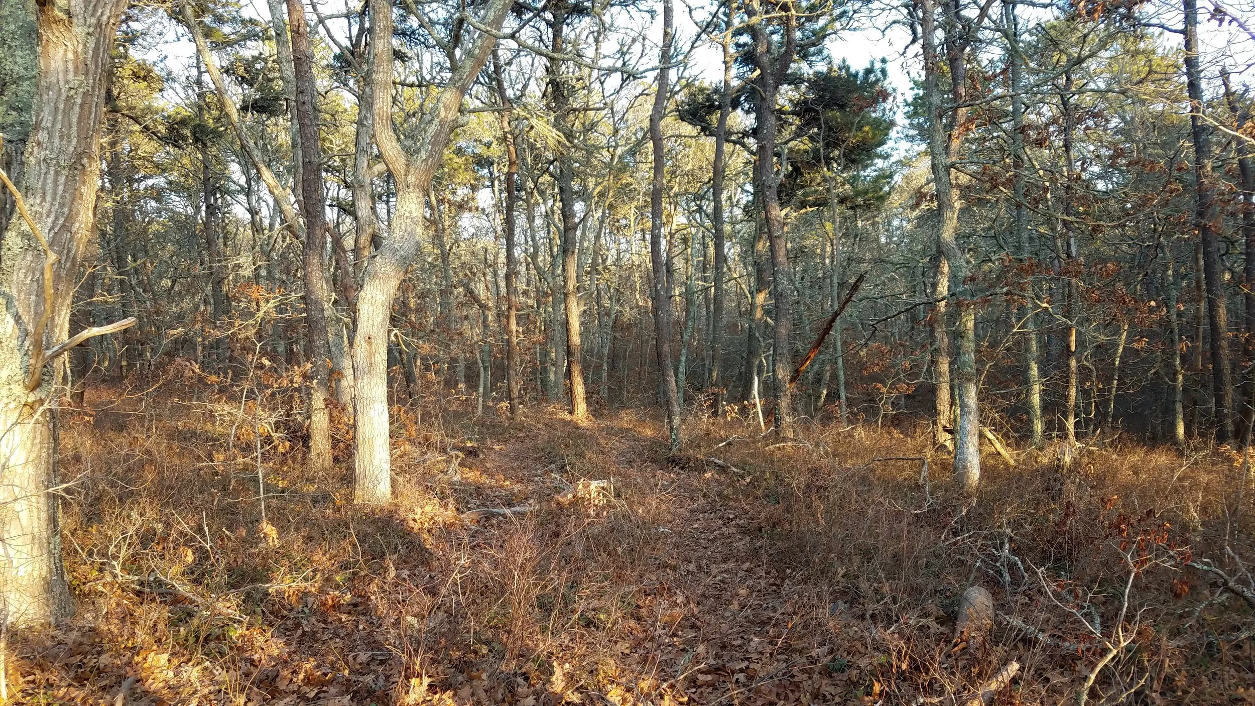 20190403_181401.jpg