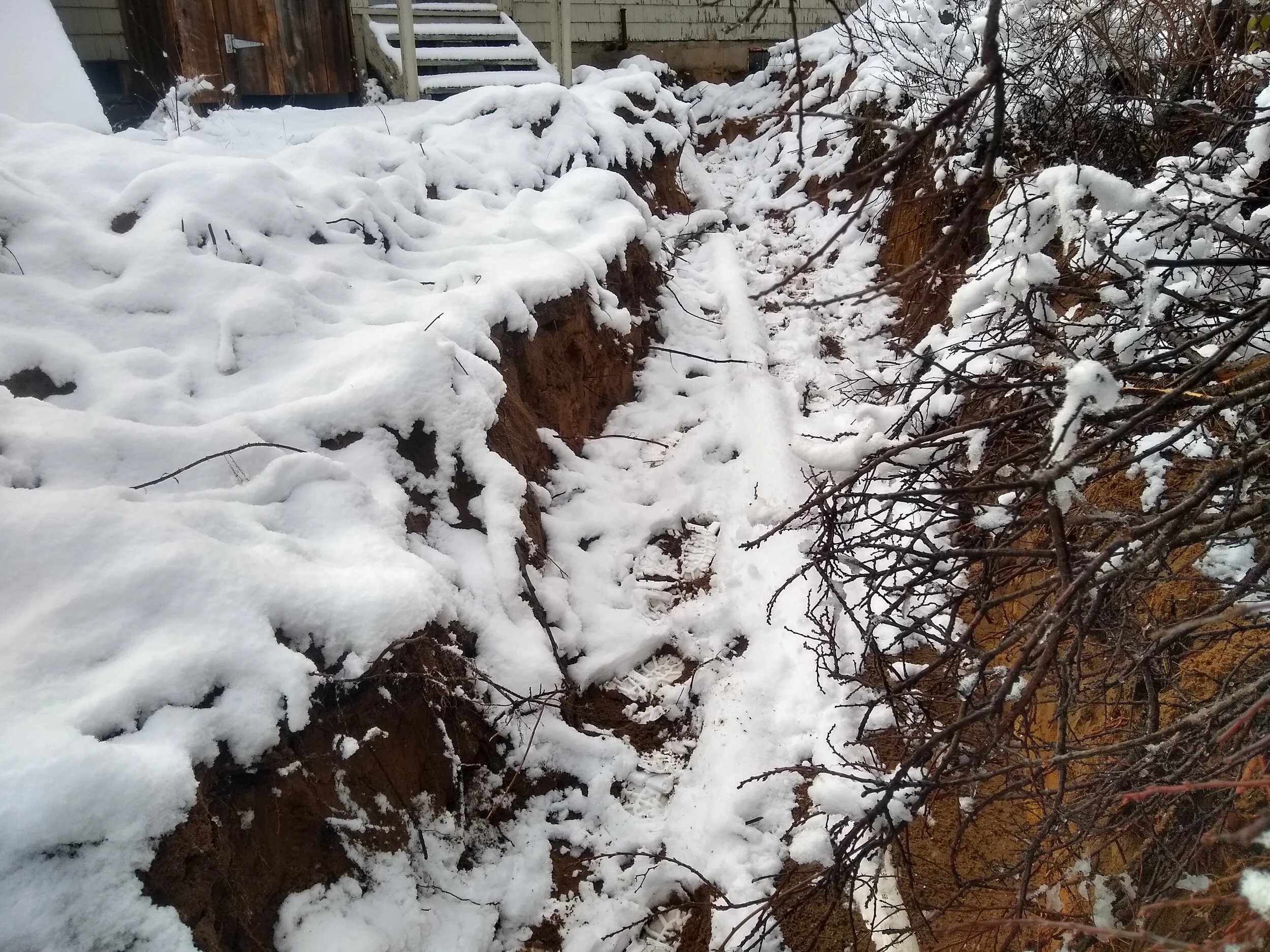 IMG_20191211_143646451_HDR TRENCH.jpg
