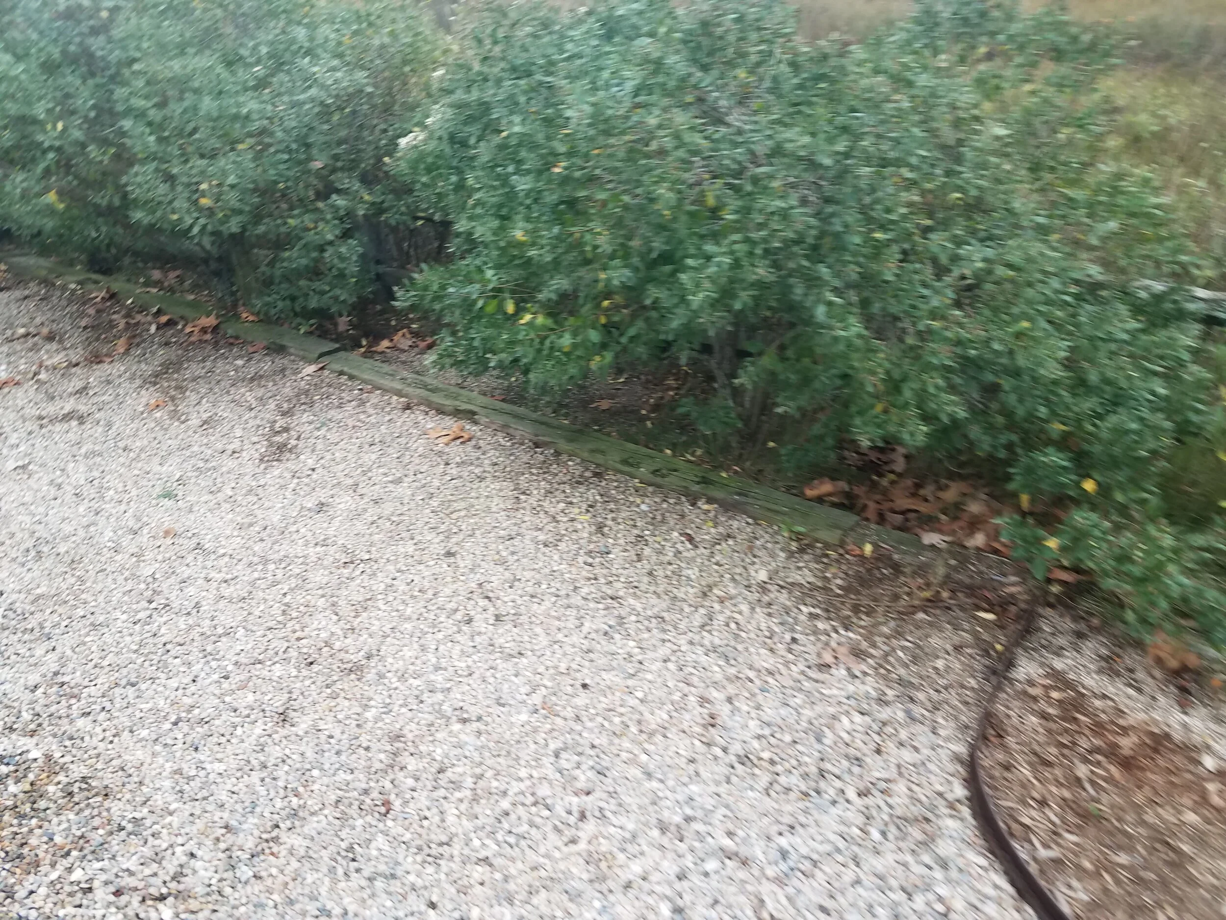 20201026_163457.jpg