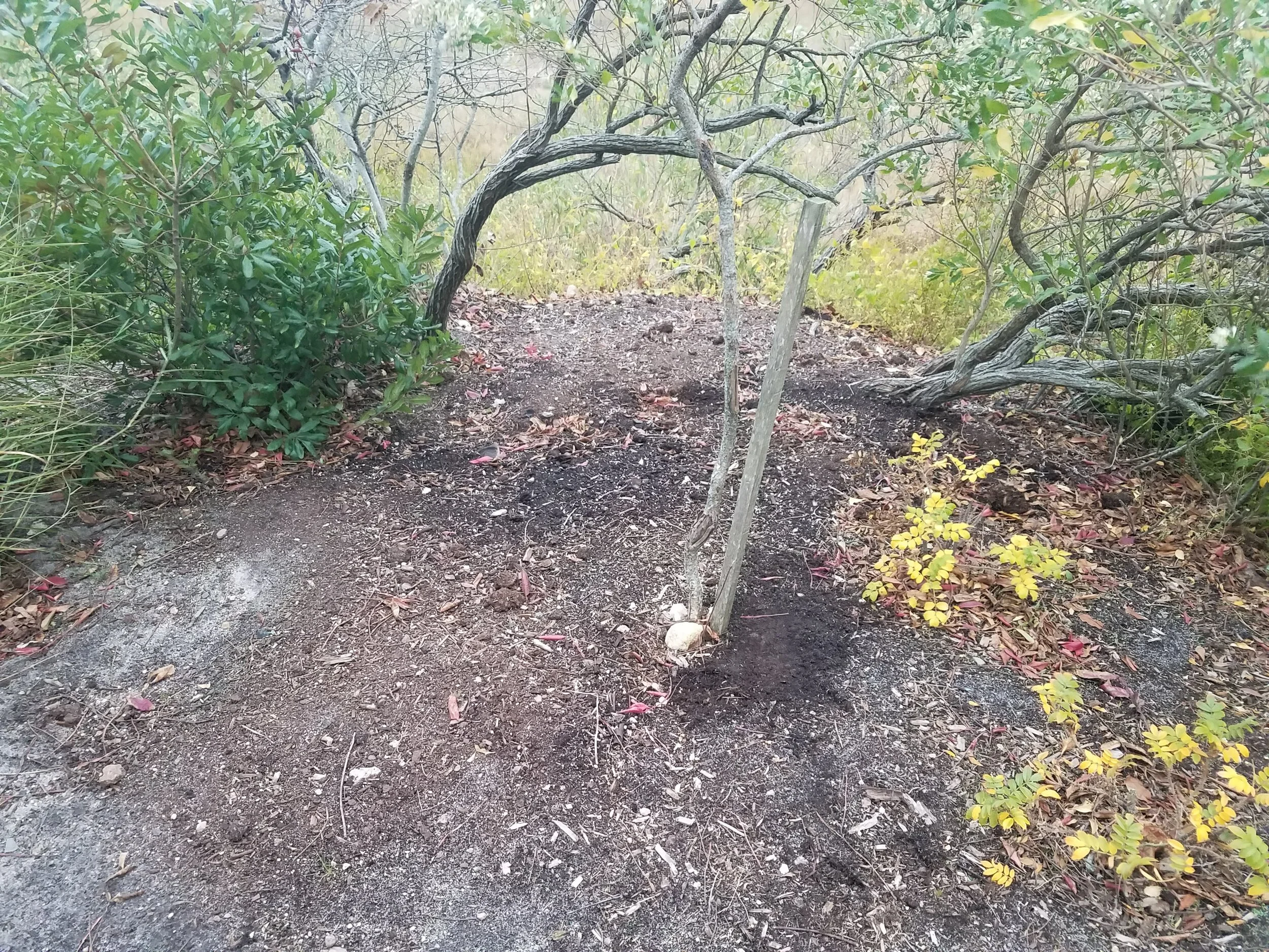 20201026_170148.jpg