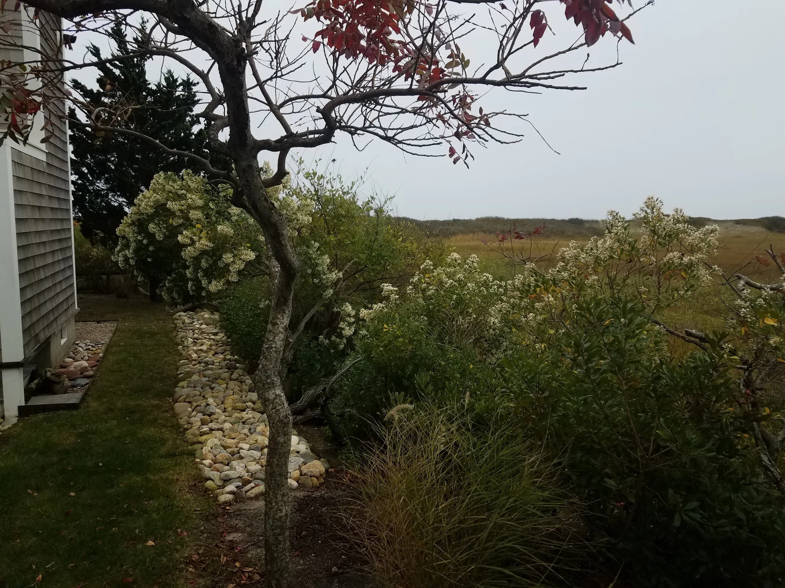 20201026_170153.jpg