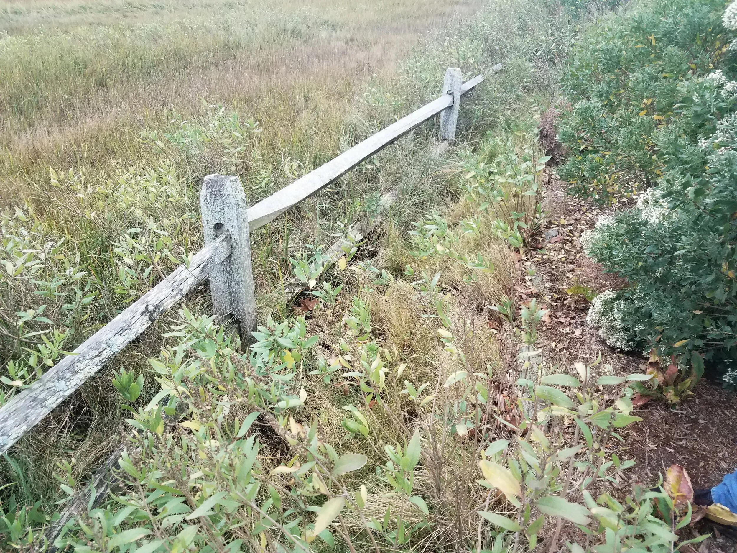 20201026_170252.jpg