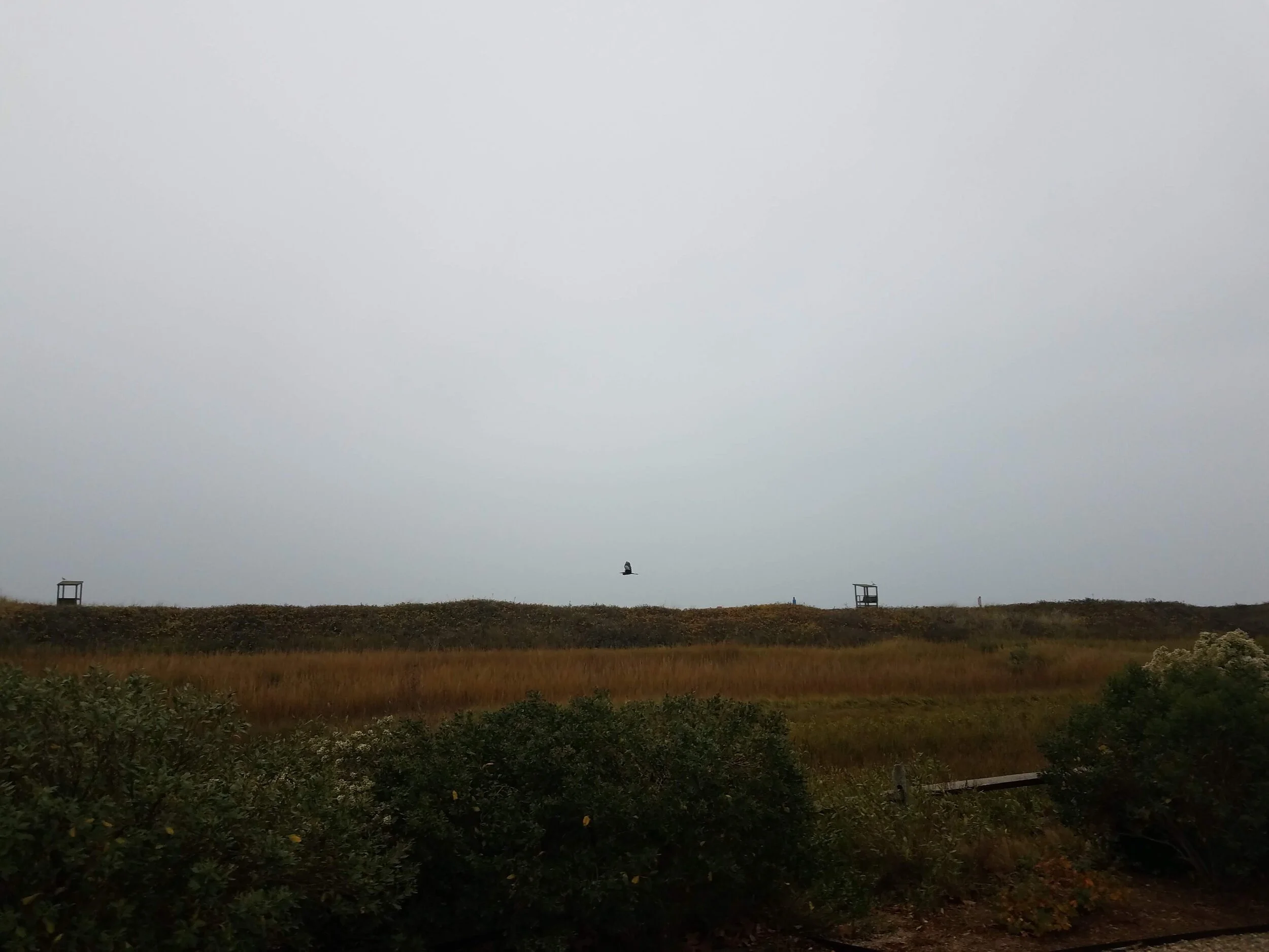 20201026_170547.jpg