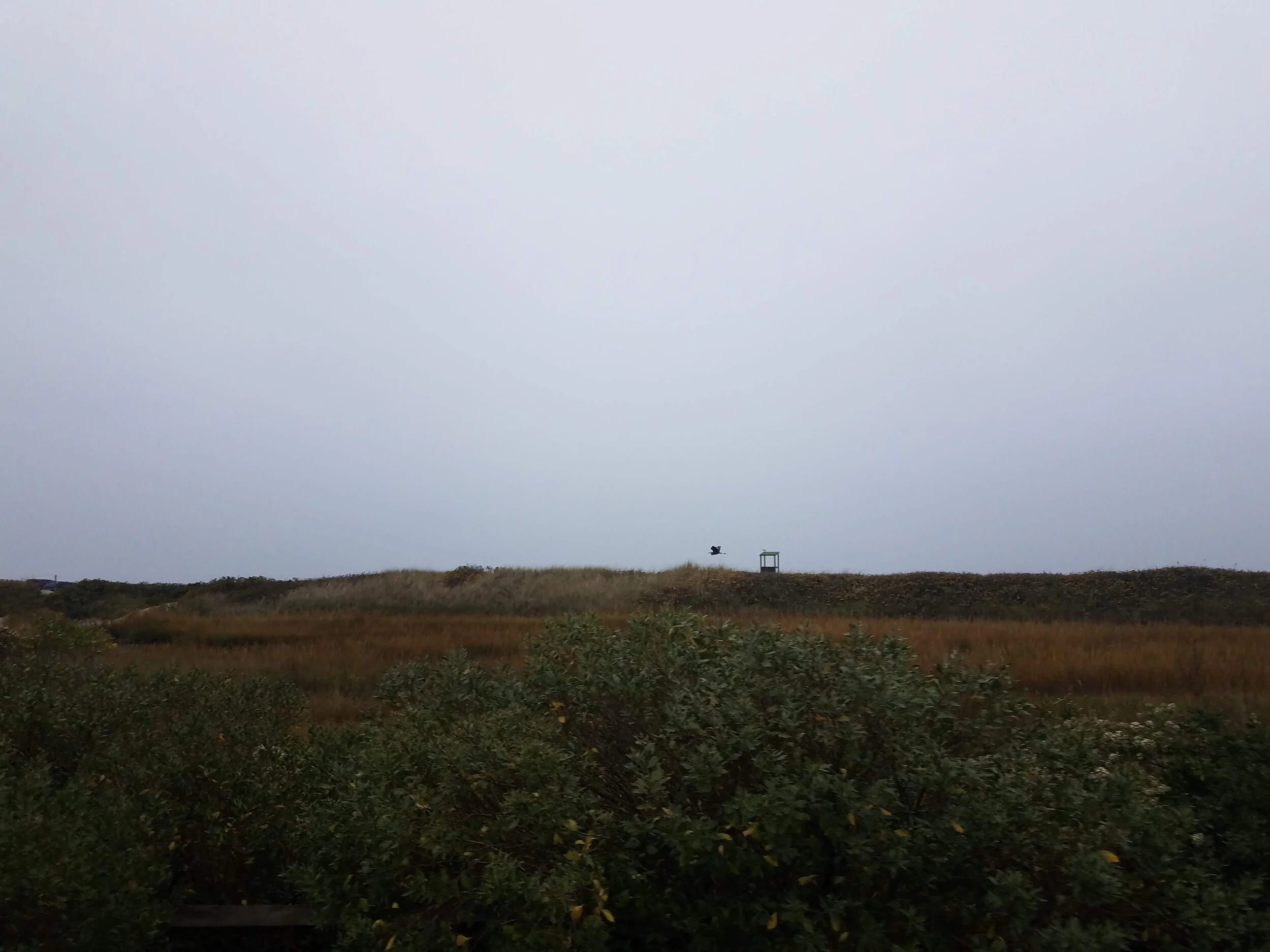 20201026_170550.jpg