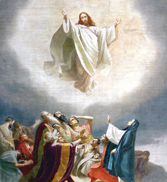 A reading the from the holy Gospel according to John 24:46-53 "Jesus said to his disciples: " Thus it is written that the Christ would suffer and rise from the dead on the third day and that repentance for the forgiveness of sins would be preached in his name to all the nations, beginning from Jerusalem. You are witnesses of these things. And behold I am sending the promise of my Father upon you; but stay in the city until you are clothed with power from on high." Then he led them out as far as Bethany, raised his hands, and blessed them. As he blessed them he parted from them and was taken up to heaven. they did him homage and then returned to Jerusalem with great joy, and they were continually in the temple praising God." The Gospel of the Lord +Let us Pray: Come Holy Spirit, fill the hearts of your faithful and fill them with your Love In this beautiful passage, as we follow the manner of Lectio Divina, listening to God's voice, I would love to draw your attention as you listen, to a few places. Remember, these are just starting points but where the Lord leads you will be the most important part of your prayer. In this passage Jesus draws us to the primacy of repentance for the forgiveness of sins. Let's "stay" here a moment. The Word says, "repentance for the forgiveness of sins." How important is a firm resolve? The act of contrition says; "I firmly resolve with the help Your grace." What does this mean and why is it so important? We must desire to change and do what it takes to change. This means that first of all, I must be truly sorry (repent), secondly, I must desire to change from my heart and thirdly, I must resolve and put a 'plan' in place, for when temptation comes again. This requires 'action' on my part, to remove what pulls me 'under' into a particular sin. I must change some things in order to move forward with Christ. The intention being; I want to draw closer to Christ. This takes honesty and courage. Another place perhaps to pause and "stay" with the Lord, is the word "promise." This is the first time in the recent daily Gospel readings, where our Lord refers to the Holy Spirit as the "promise of my Father." Why is this important? The word 'promise' is worth pondering. Why did 'THE WORD" choose the word, 'promise'? Possibly to assure our hearts, that are weak and fearful, that there IS help coming, in order to do what we are feeling in our hearts is above us, an impossible task. The Lord is reassuring us as disciples, that help is coming and that is a promise. Jesus is also teaching us that He is true to His promises. This is something we very much need to learn, as our experience with humanity has taught us, that promises often are just words, not really kept. Jesus is teaching us who He is and therefore who the Father is and the Father is True to His promises. A third possible place to stay and ponder is with this sentence: "Stay in the city until..." Why should we stay? In our culture so often to "stay" to remain, to wait, to be still, to 'stay put 'implies no progress, no movement 'forward', simply wasting time doesn't it? As if something better is happening somewhere else or, should be happening than what is presently happening, or ' not happening.' How often we all feel this don't we? Activity in our culture often suggests progress; "lets get something happening here', as if something isn't happening. True 'progress' is only progress when its moving us in the right direction, ie. closer to Christ. Through the media we are often 'taught' that activity points to a life filled with purpose, meaning and direction. In Truth, some of the 'greatest activity' happens in utter stillness, silence, in staying and waiting. Mary in her stillness 'stayed and listened to the WORD spoken to her, and conceived in her womb. Jesus 'stayed' on Nazareth until His "Time" came to enter public life. Here in this passage the Apostles 'stayed' and waited until what? until they were "clothed" with power! The Holy Spirit! So what do we learn about 'staying put' ? Isn't it activity then if it is directed to God? in order to receive the fullness of the gift which God our Loving Father, wants to give us? Part of God's Will? What in my life right now must I wait upon? in order to receive a 'greater portion' of God's will? Let us Pray: Lord, open my mind and heart, fill me with Your Holy Spirit, give me the grace, the patience, and the willingness to suffer the moment in order to receive the Promise you intend to give me, I ask this in your Holy Name Jesus. Amen.