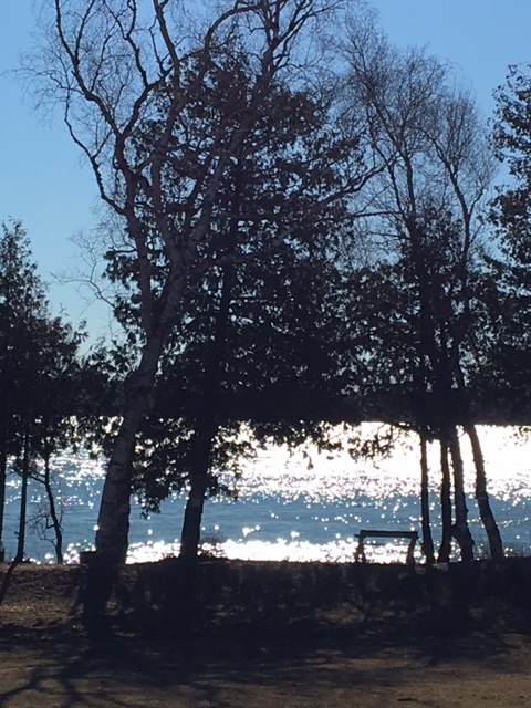 This is one of my favorite spots early in the morning, here on the grounds