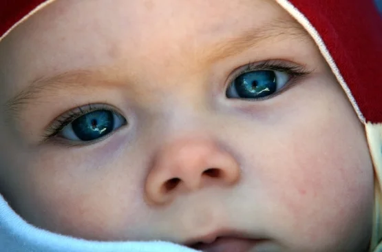 Close-up_photograph_of_a_male_baby_(4584204357).jpg