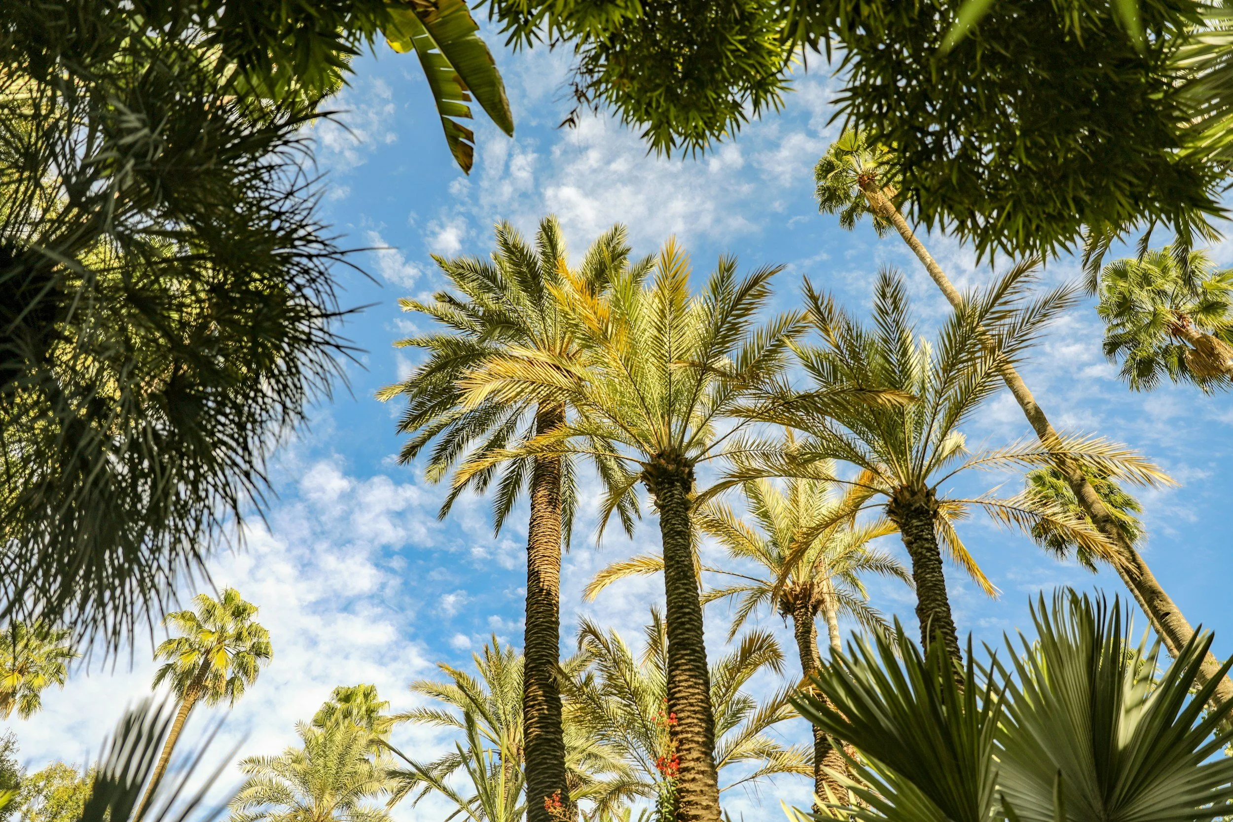 unsplash-image-U0fliRy5yoU.jpg