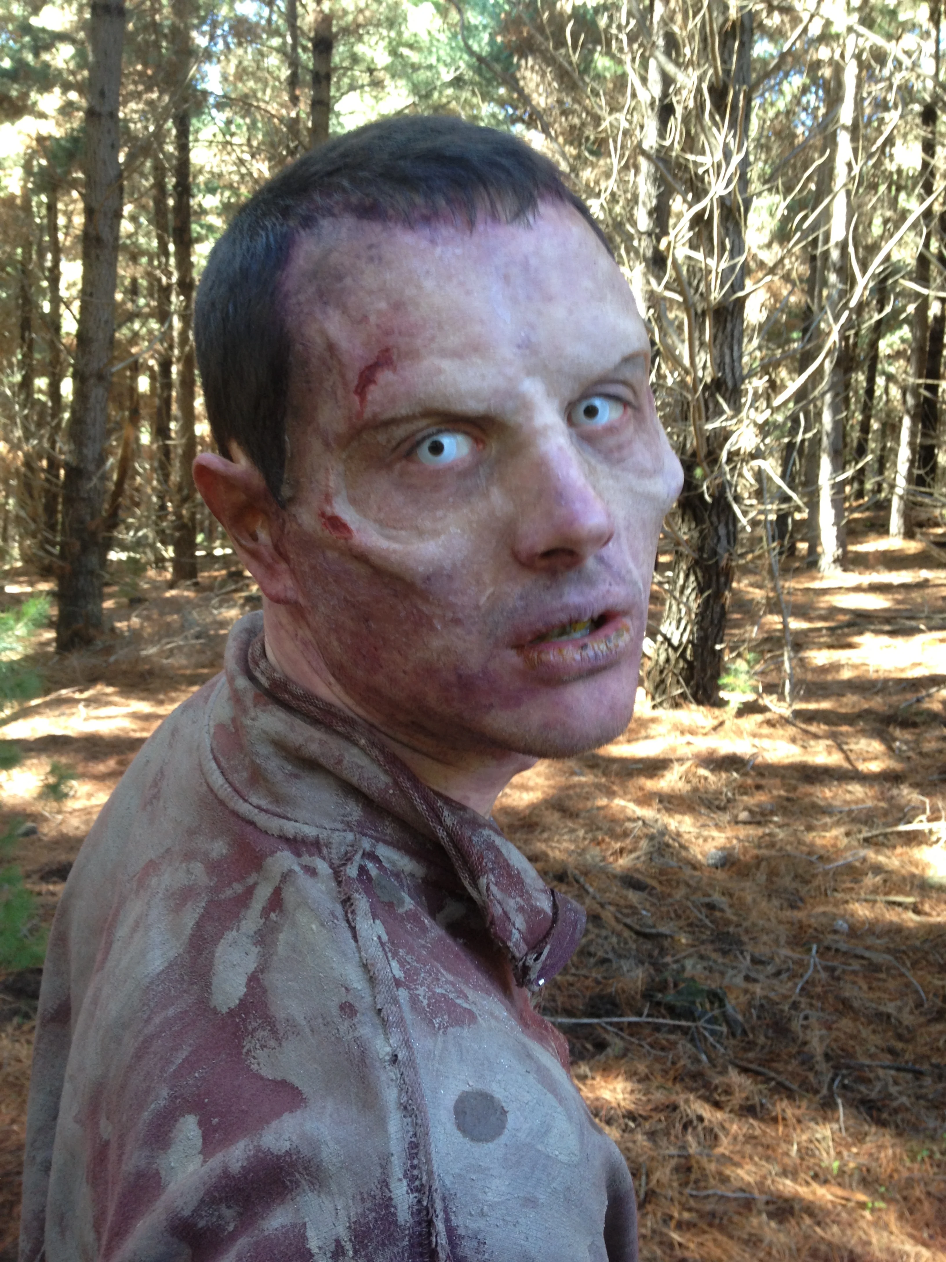 Wyrmwood: Road of the Dead