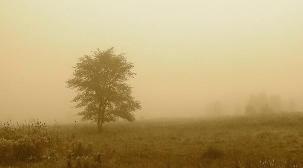 Zen Virtuosity - Introduction to Long-term Zen Practice