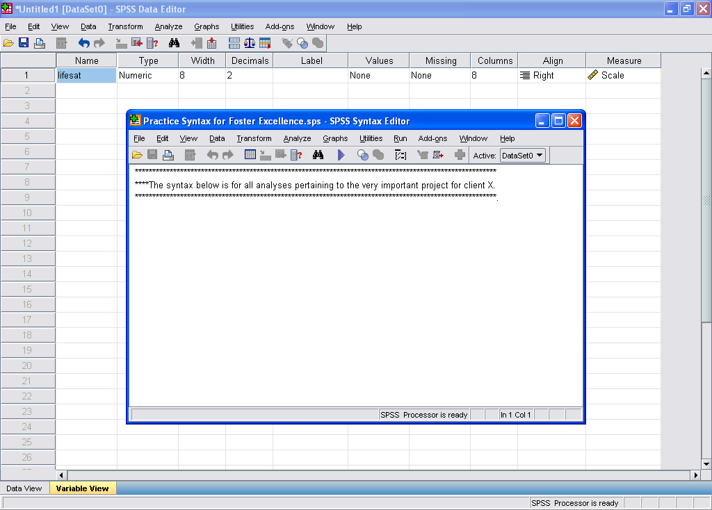 SPSS Syntax 101: Basic Guidelines, Variable and Value Labels