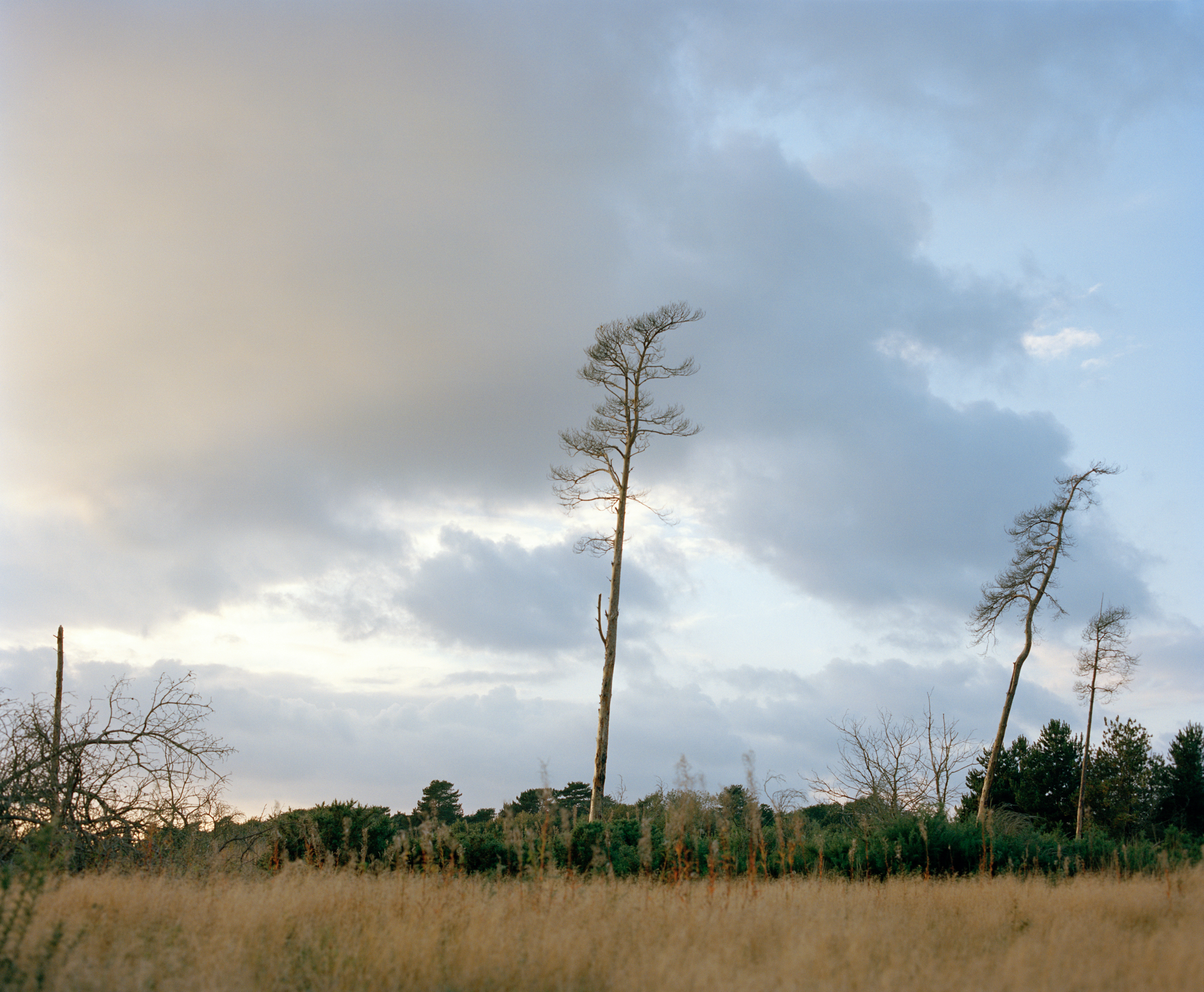 The Heath, Chelmondiston, 2013.jpg