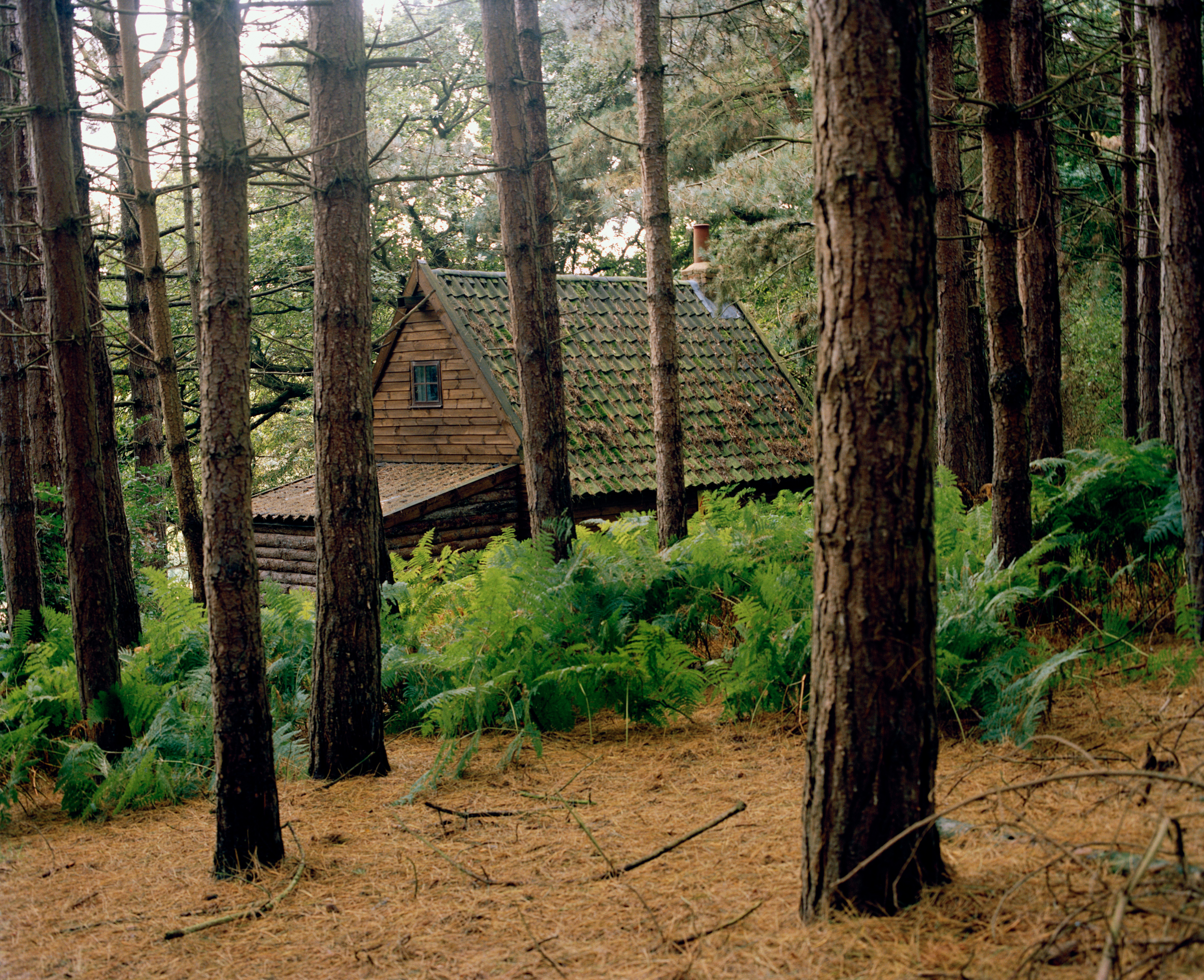 The Cabin, Woolverstone, 2013.jpg