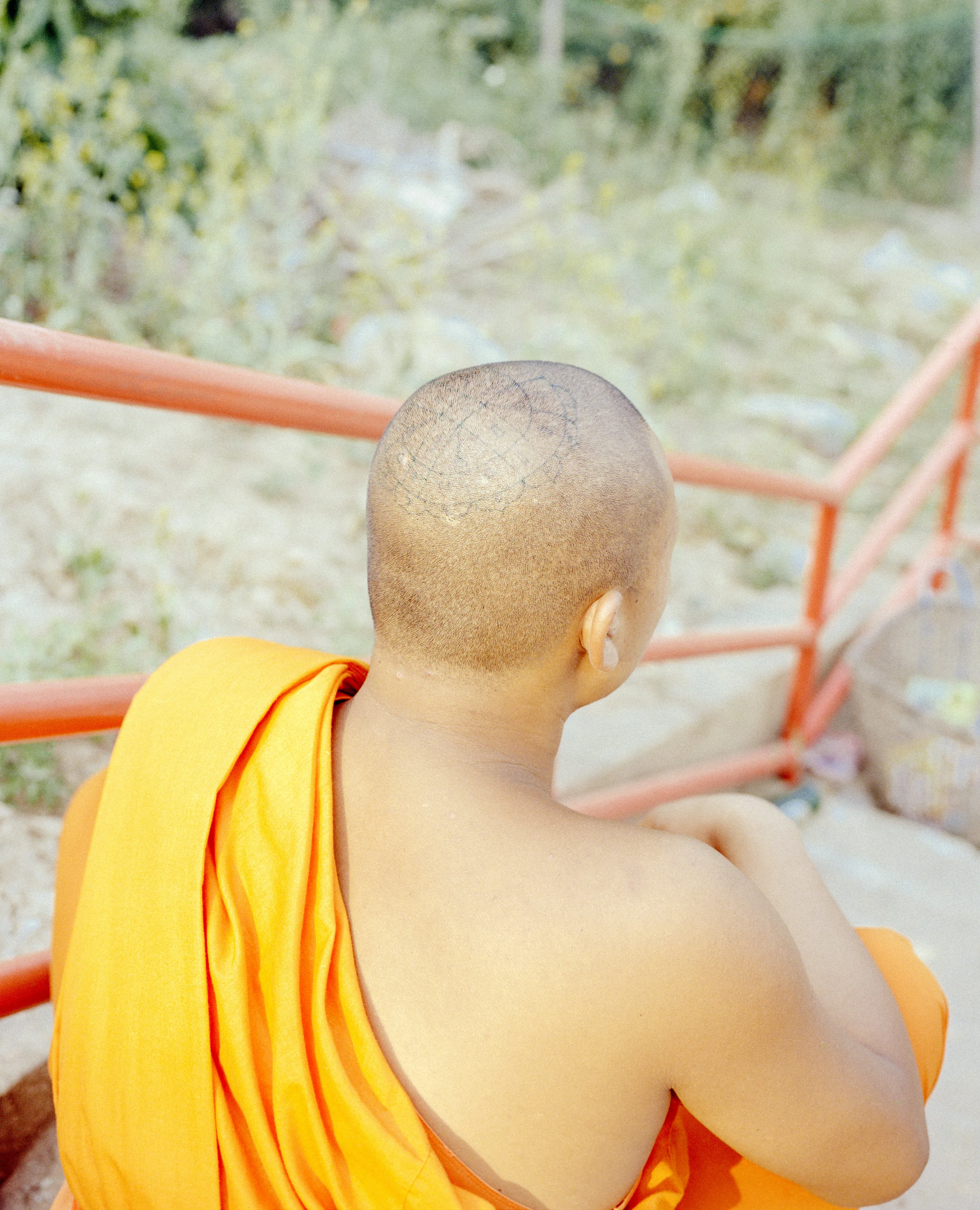 Mother Mekong