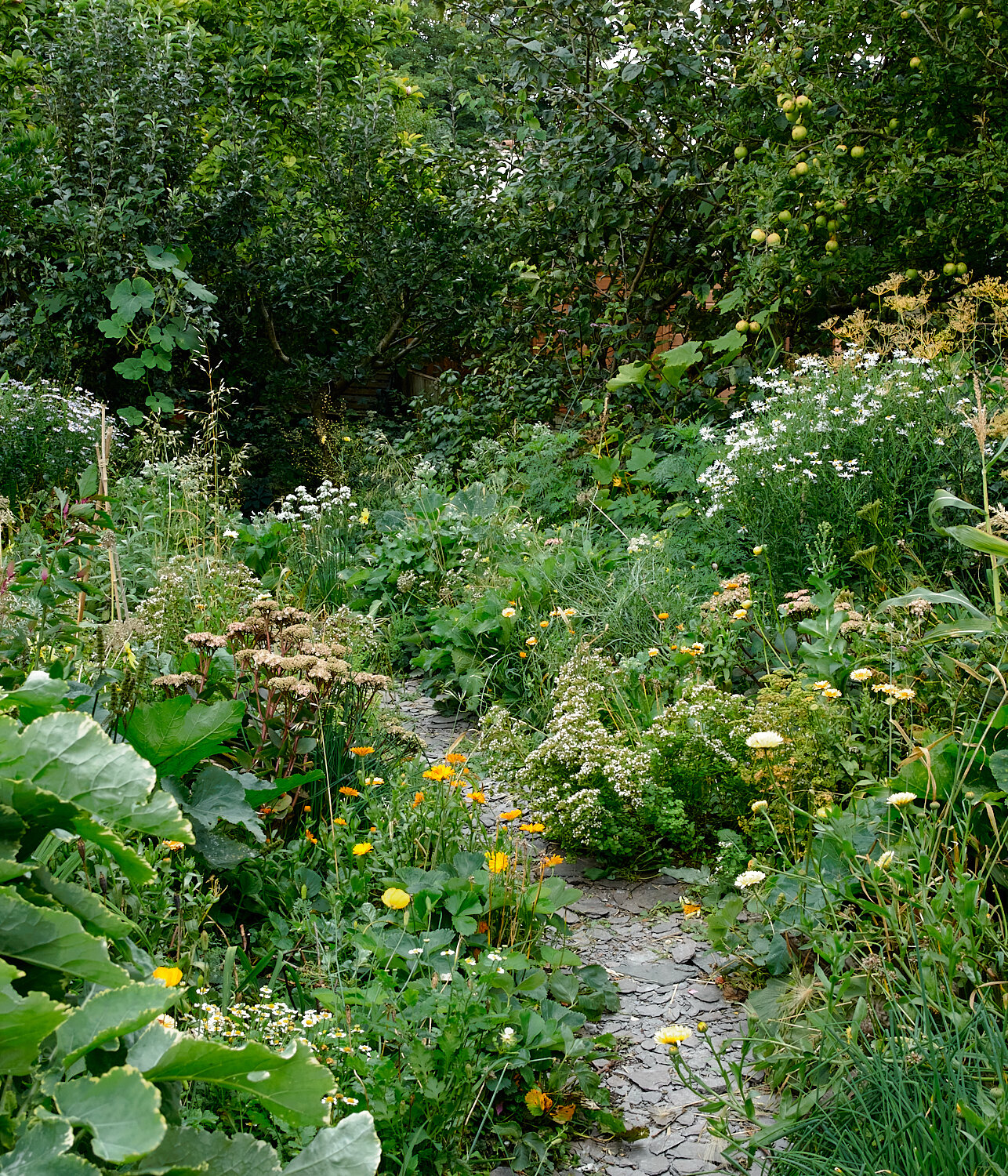  Path leading down Alys Fowler's garden 