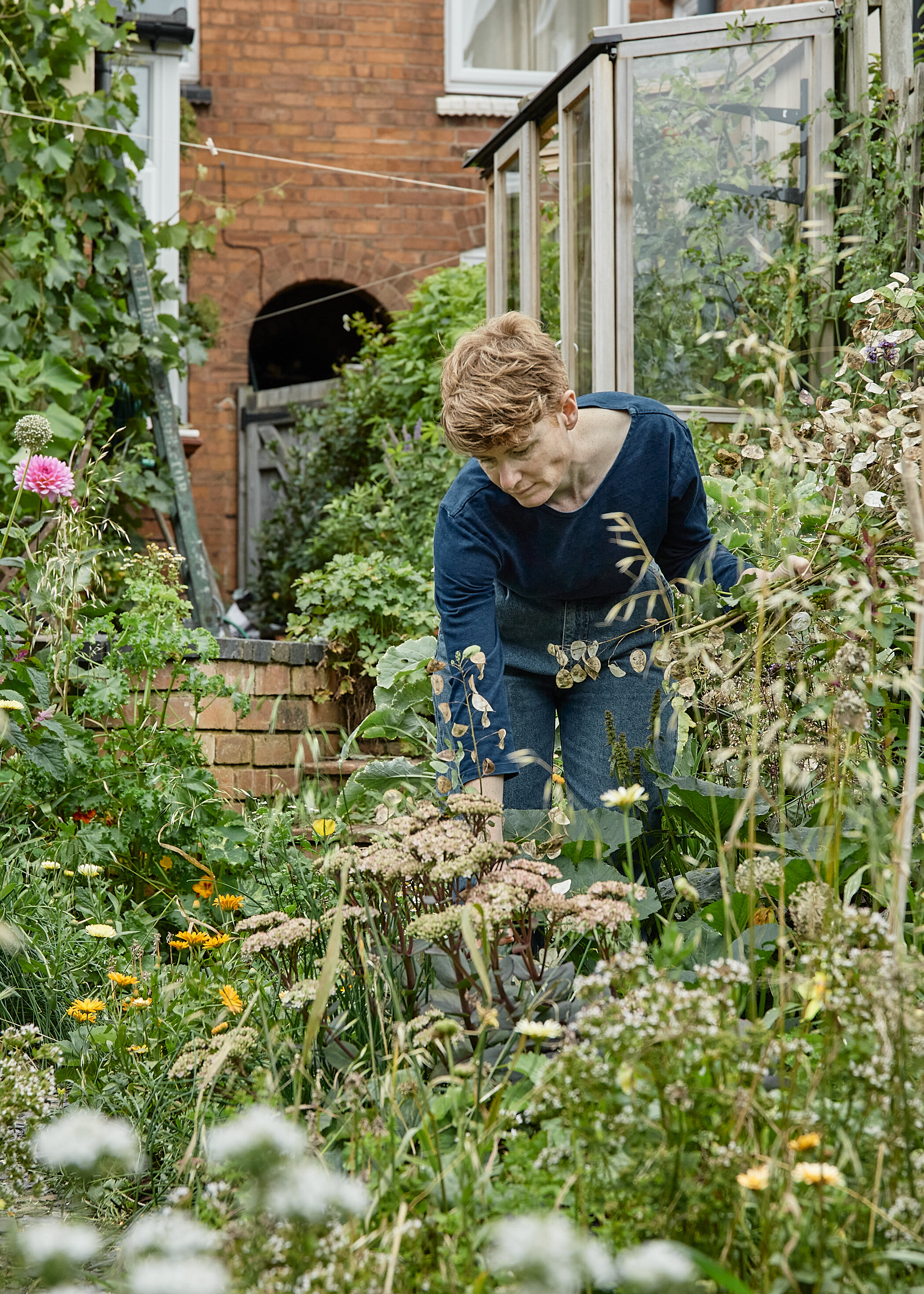  Alys Fowler collecting for seed saving in her garden 