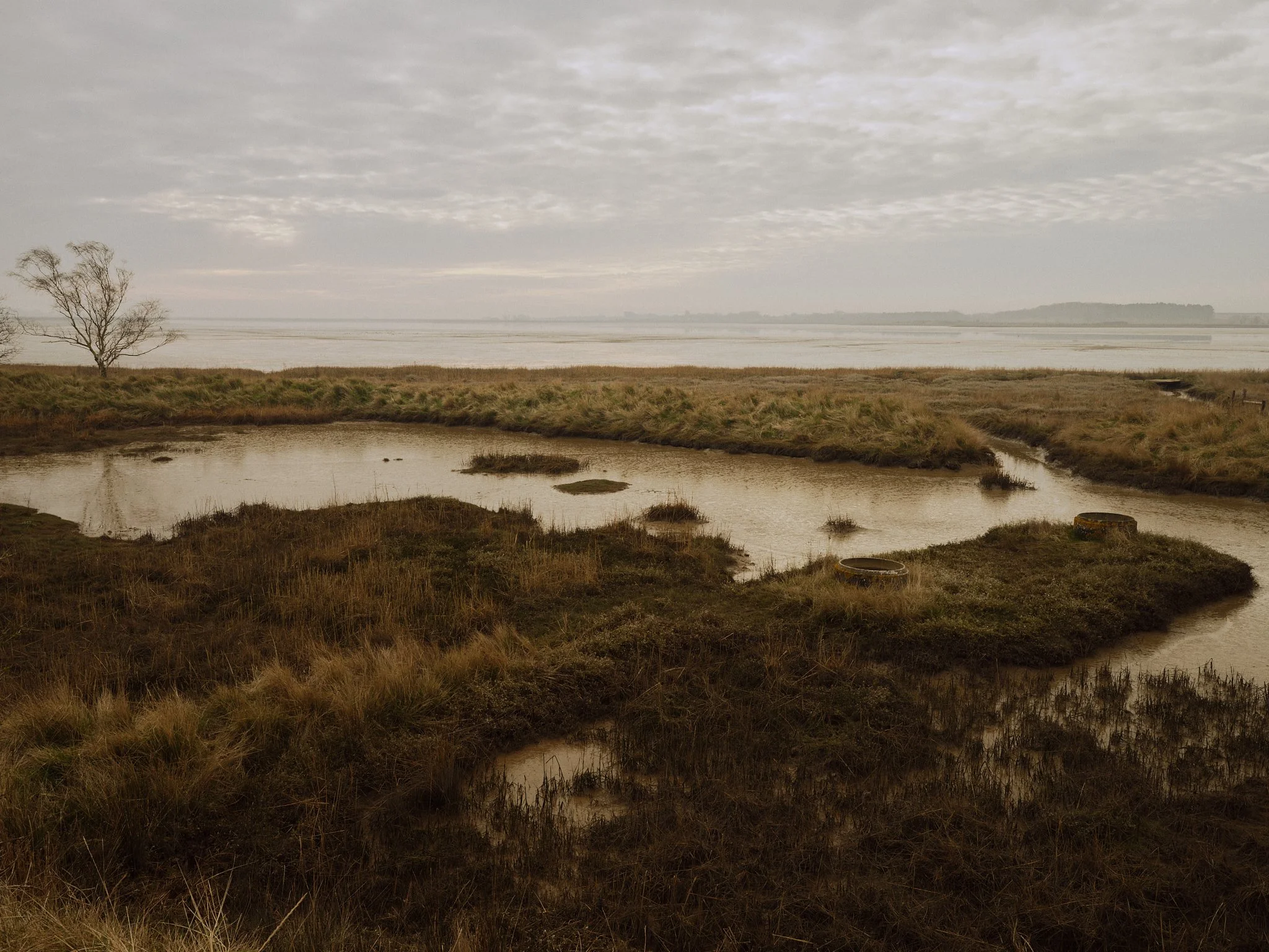 Housestead by Sanei + Hopkins Architects