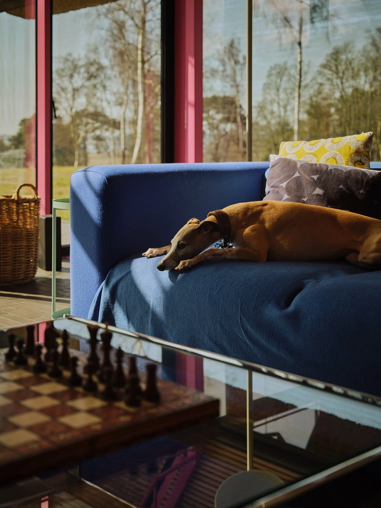 Housestead by Sanei + Hopkins Architects