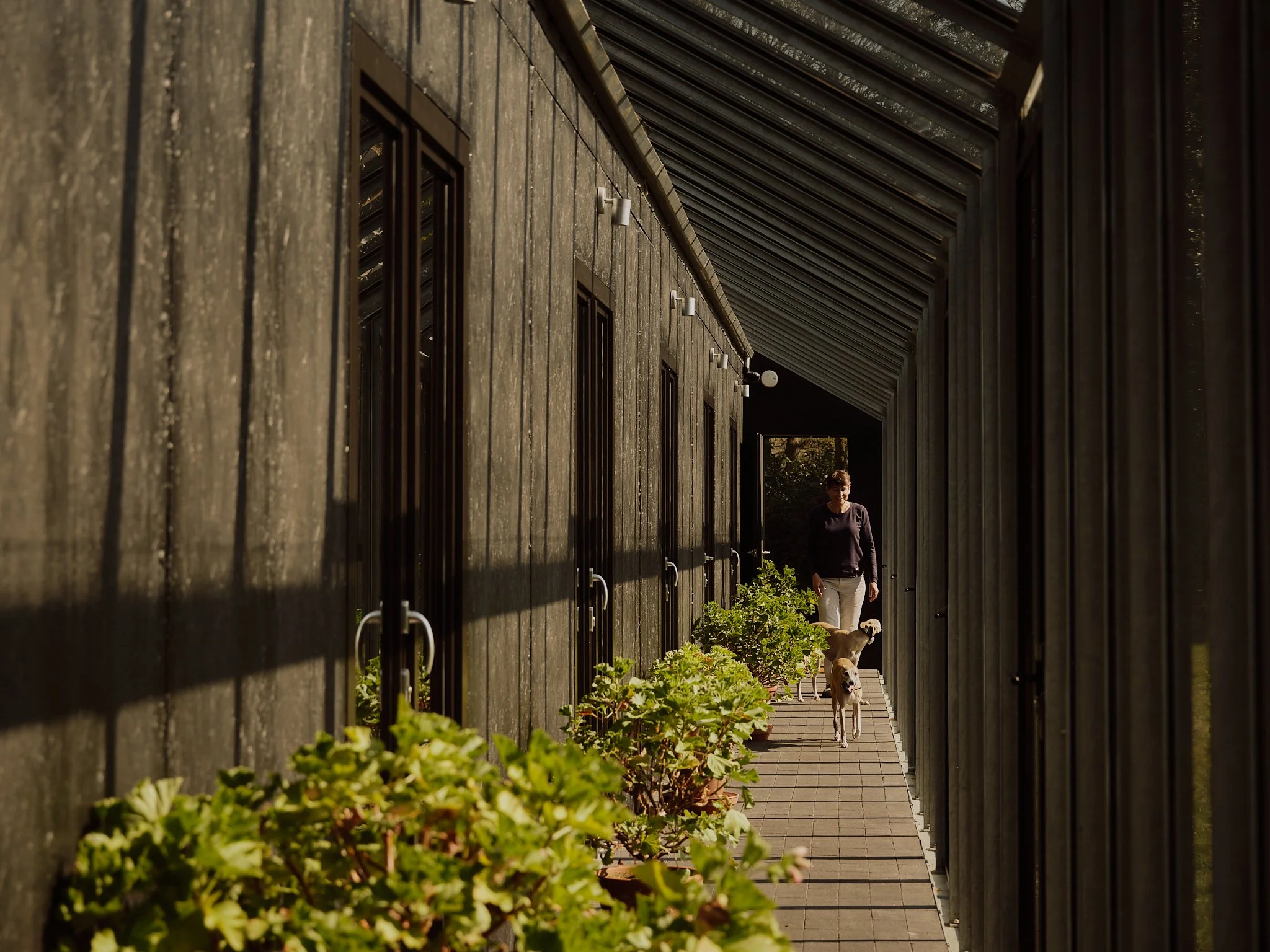 Housestead by Sanei + Hopkins Architects