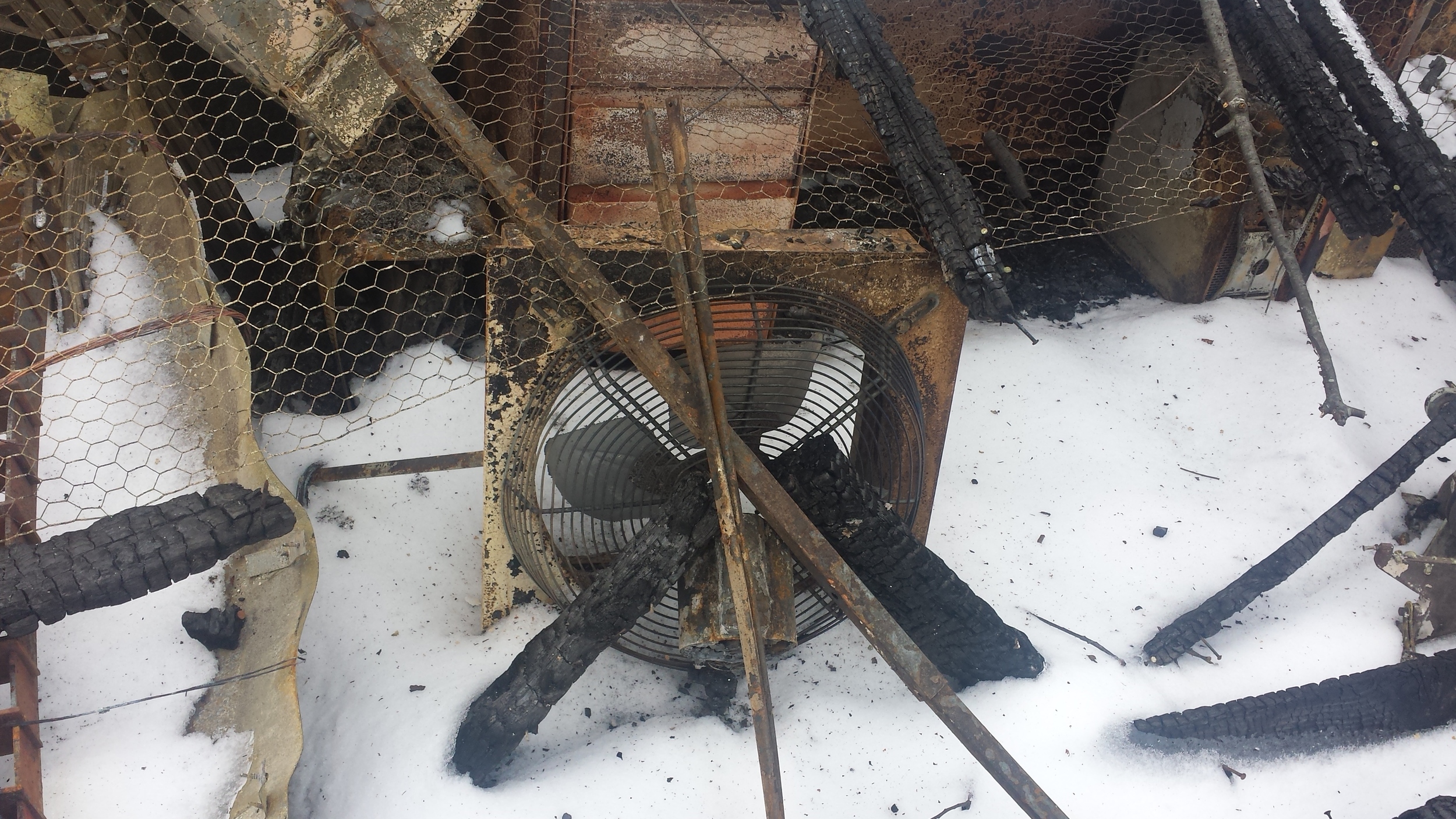 20150303_113459.jpg