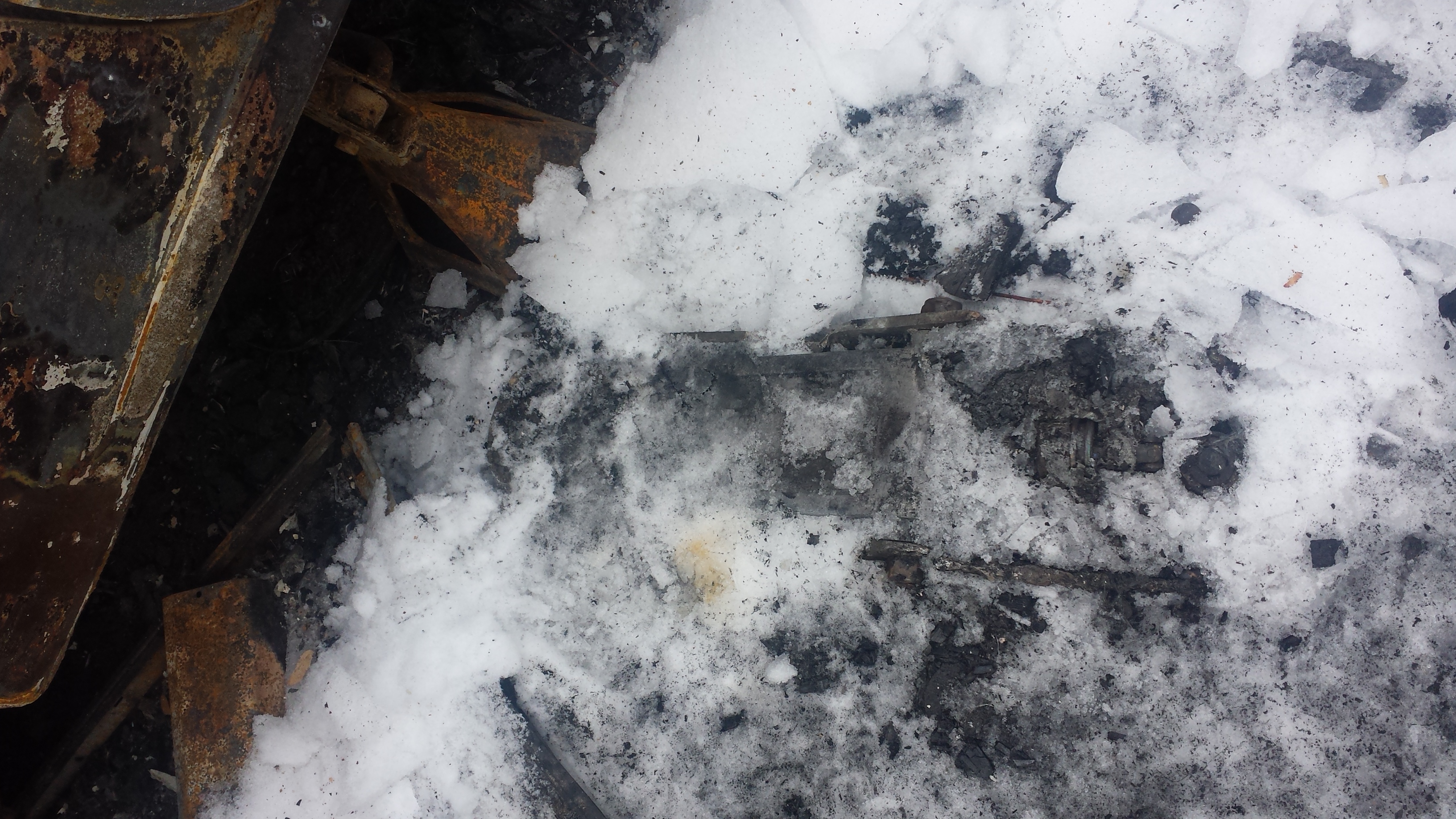 20150303_113612.jpg