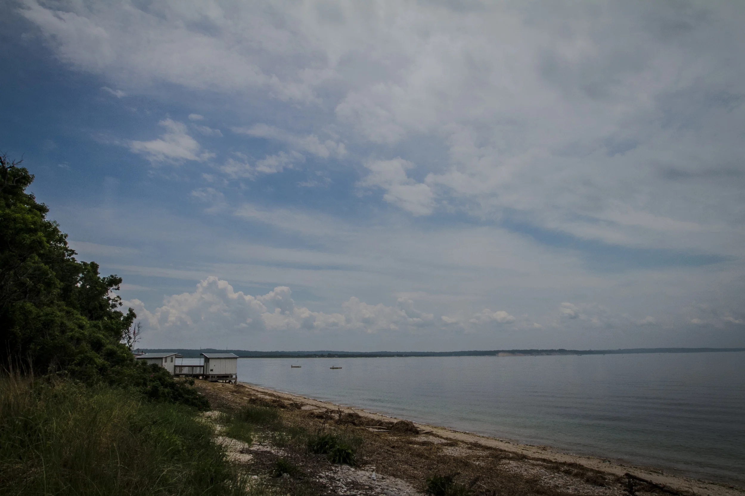 IMG_2887.jpg