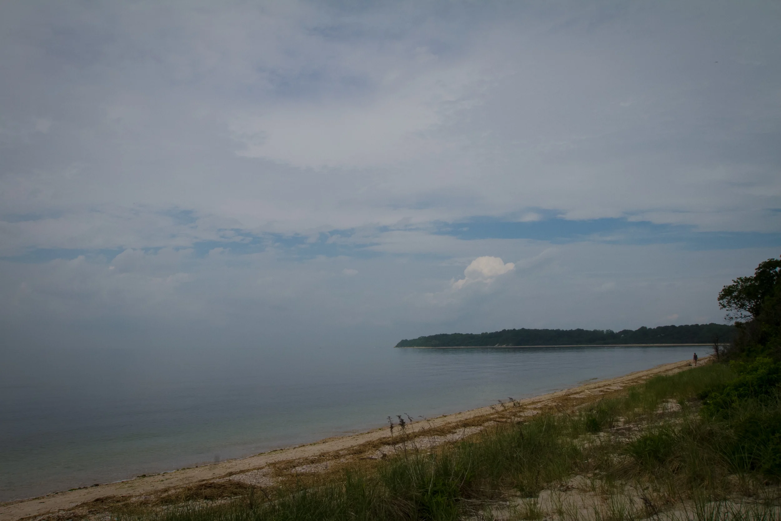 IMG_2888.jpg