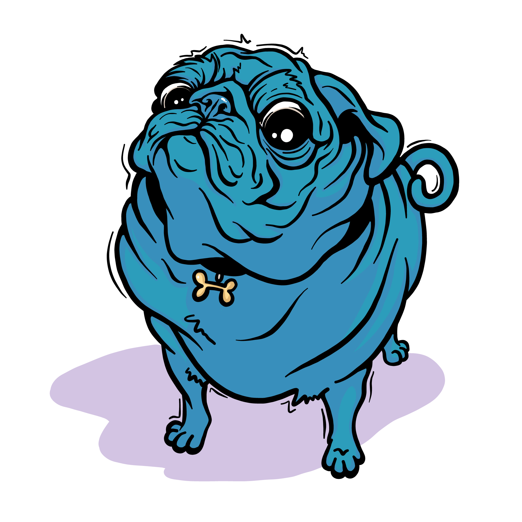 Pug.jpg