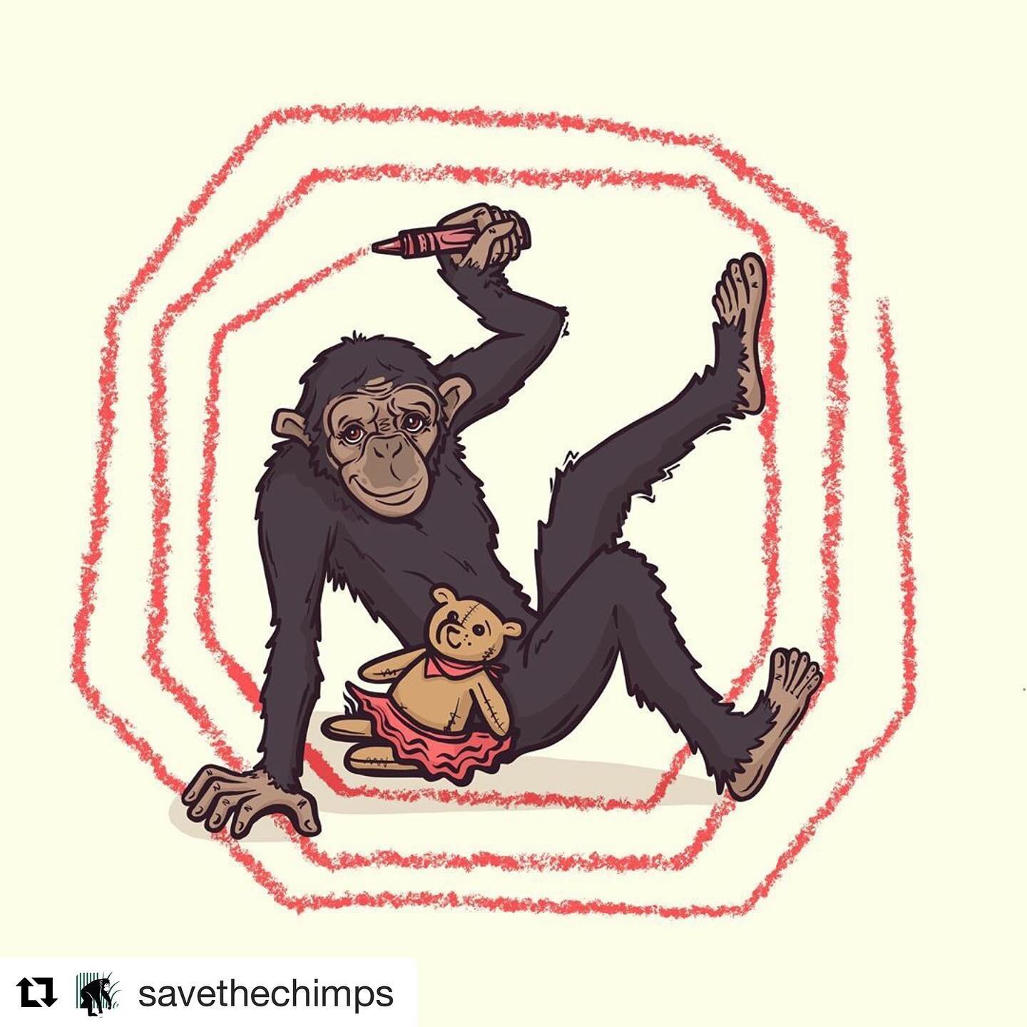 #Repost @savethechimps 🐒🐒🐒
・・・
Meet Lisa Marie! She worked in the entertainment industry for eight years before we rescued her. One of our most outgoing personalities, Lisa Marie loves playing with tutus and socializing with her BFF Jaybee. 💕 #Li