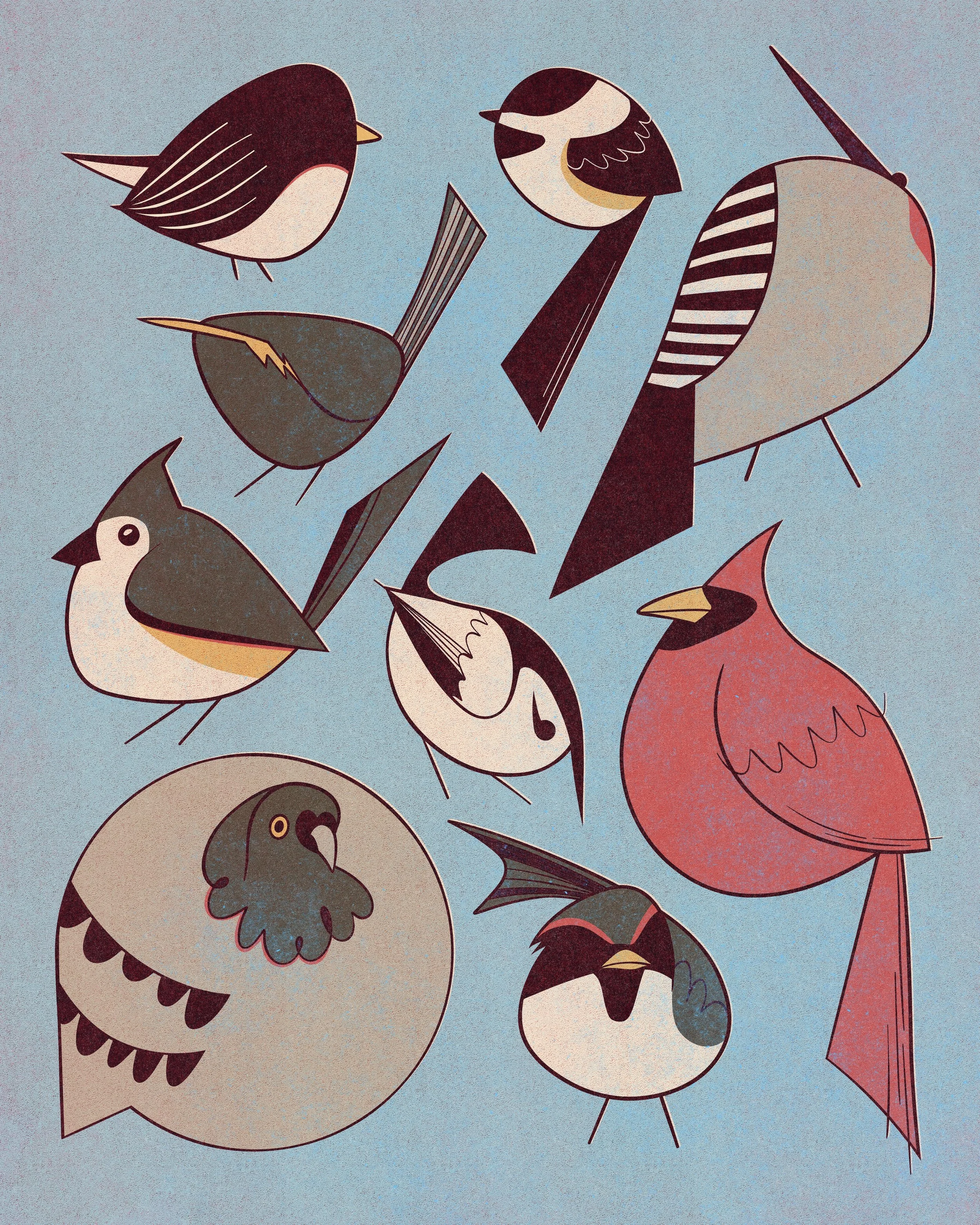 Borbs.jpg