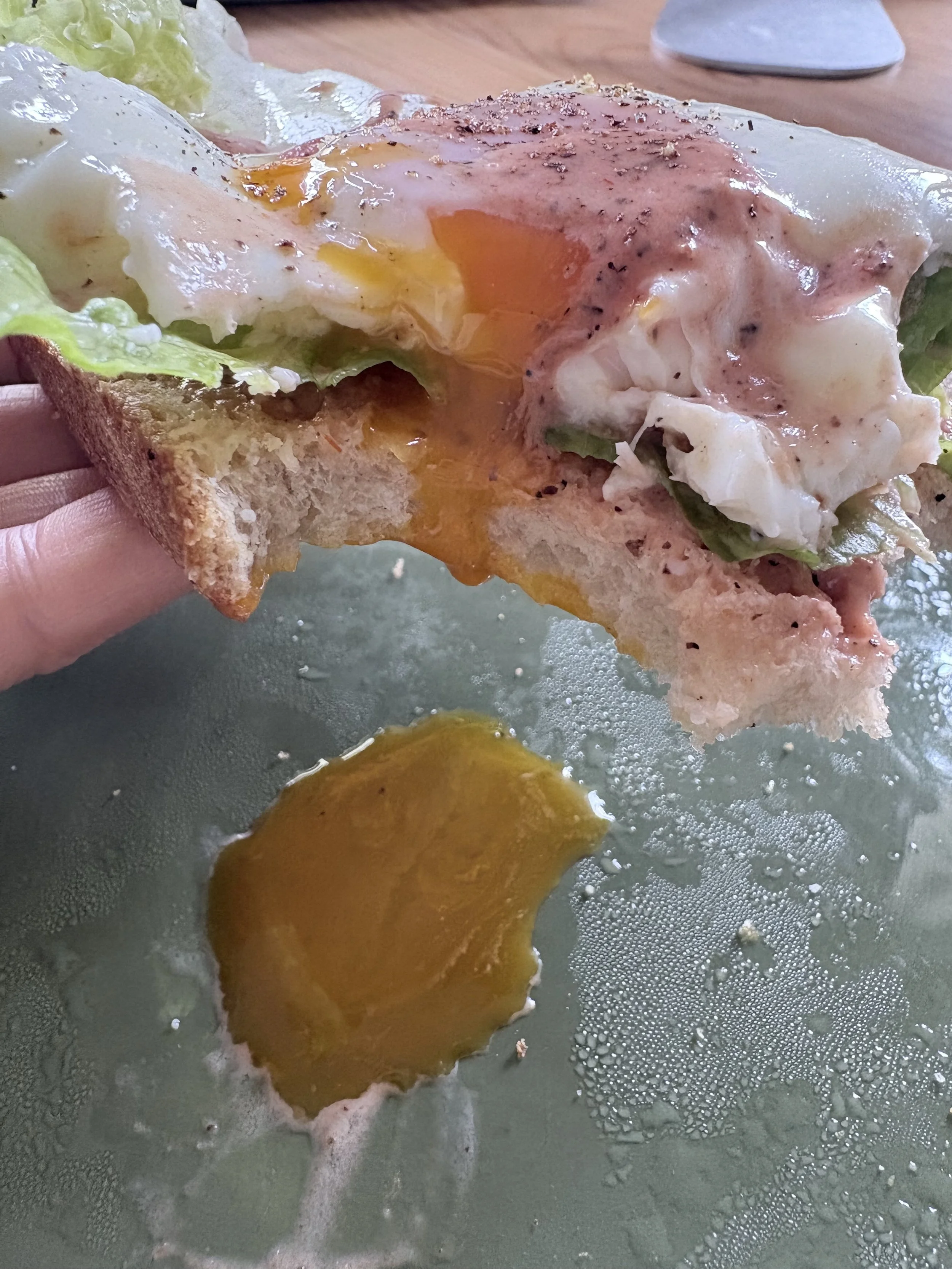 egg dreams part 2 ( sunny side up leaf green)