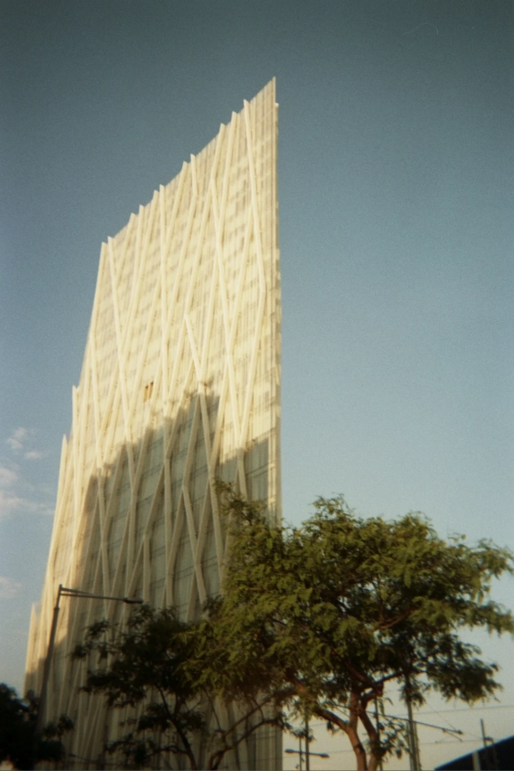 ---_0124.jpg