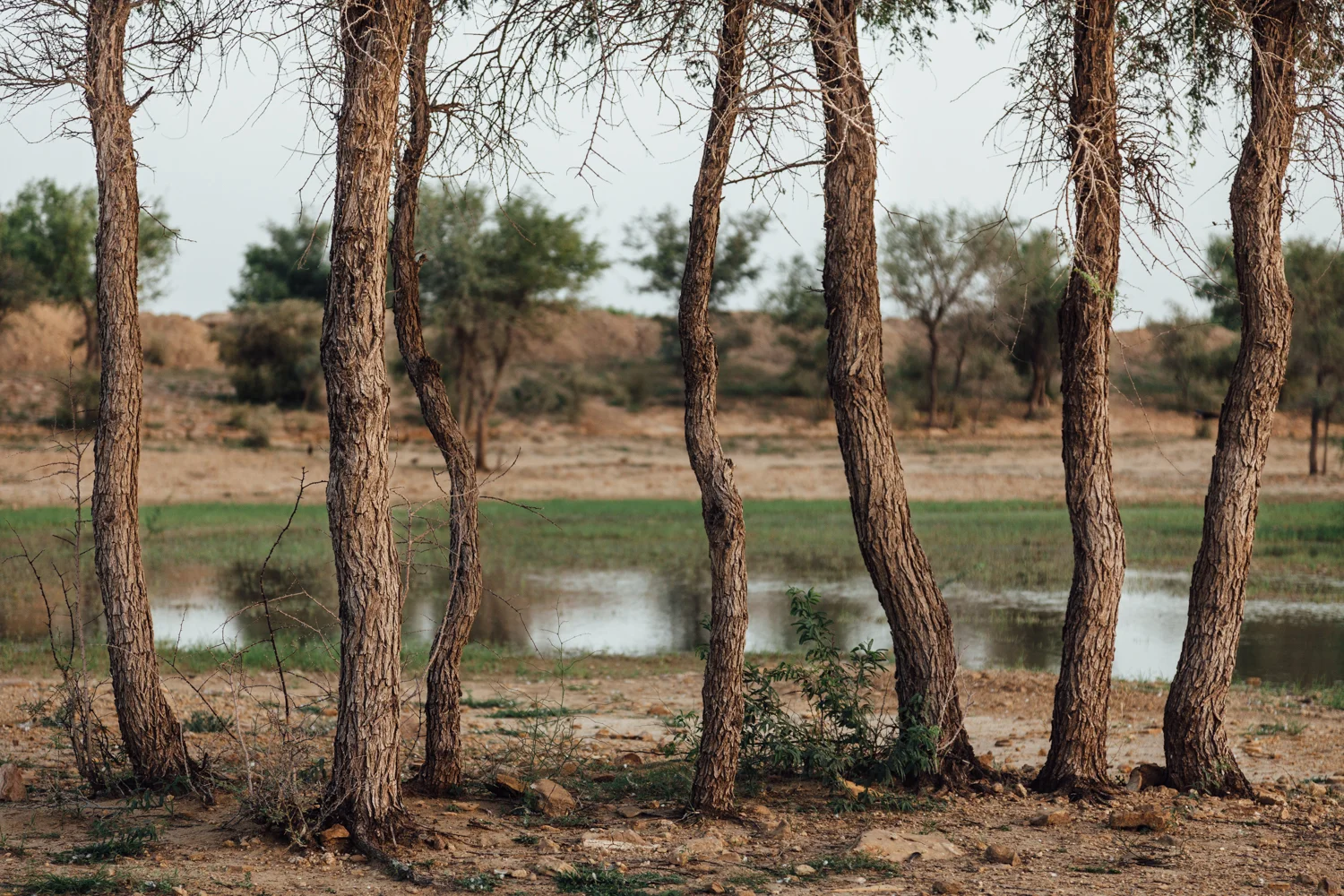 Jaisalmer, India