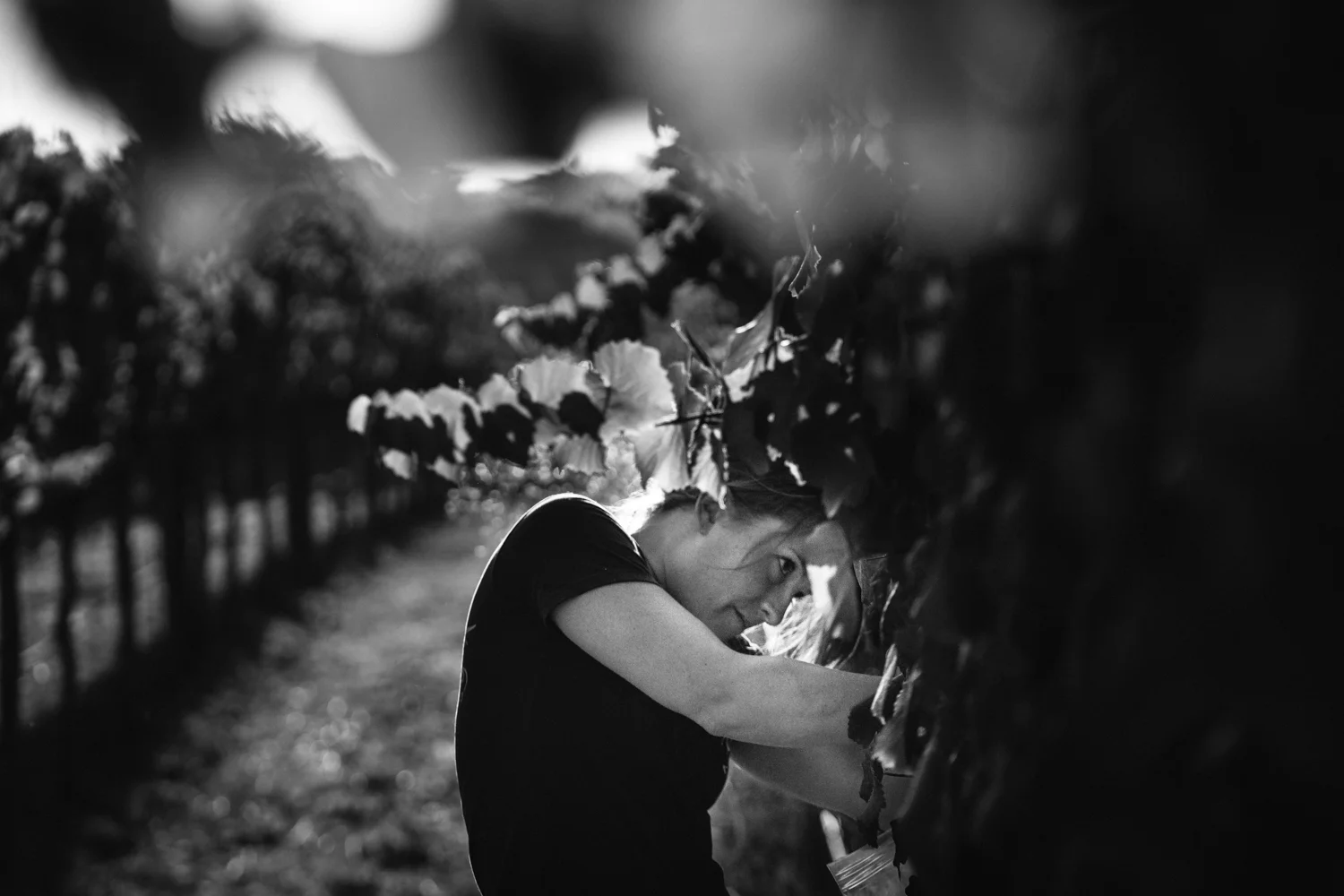 inetern-17.jpg