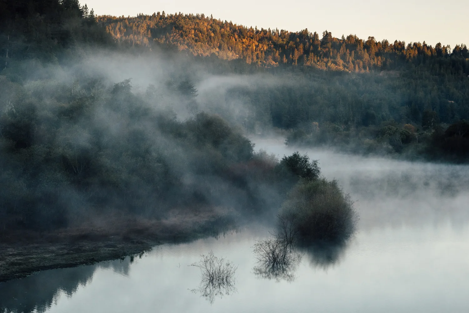 Russian River AVA, Guerneville, California
