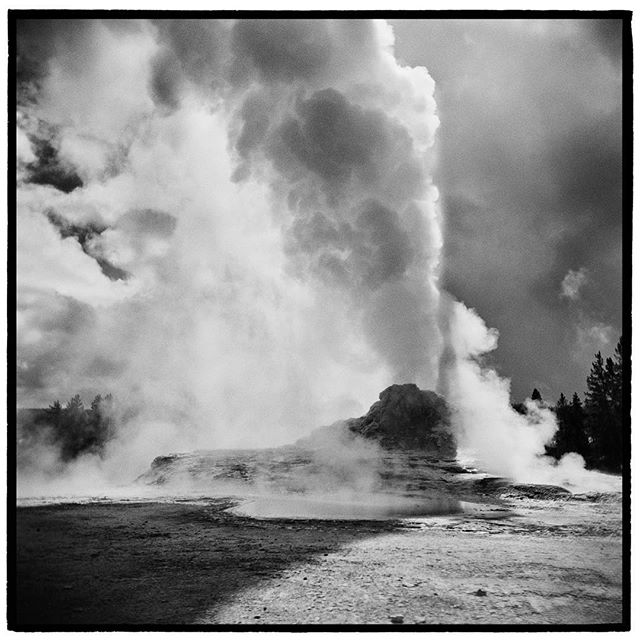 Like a friend who&rsquo;s always late to the party; geysers may not always be on time or predictable but they always show up and when they do show up, they show up in style. Castle Geyser, Yellowstone National Park, Wyoming. *
*
*
*
*
*
@mypublicland