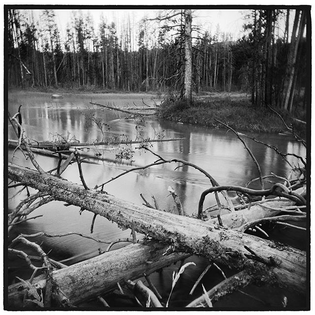 Redfish Lake Creek, Sawtooth National Recreation Area, Idaho. *
*
*
*
*
*
*
*
*
@mypubliclands @usinterior #mypubliclands #keepitpublic #protectourpubliclands #findyourpark #usinterior #protectthewild #aperturefoundation #lensculture #blackandwhite #