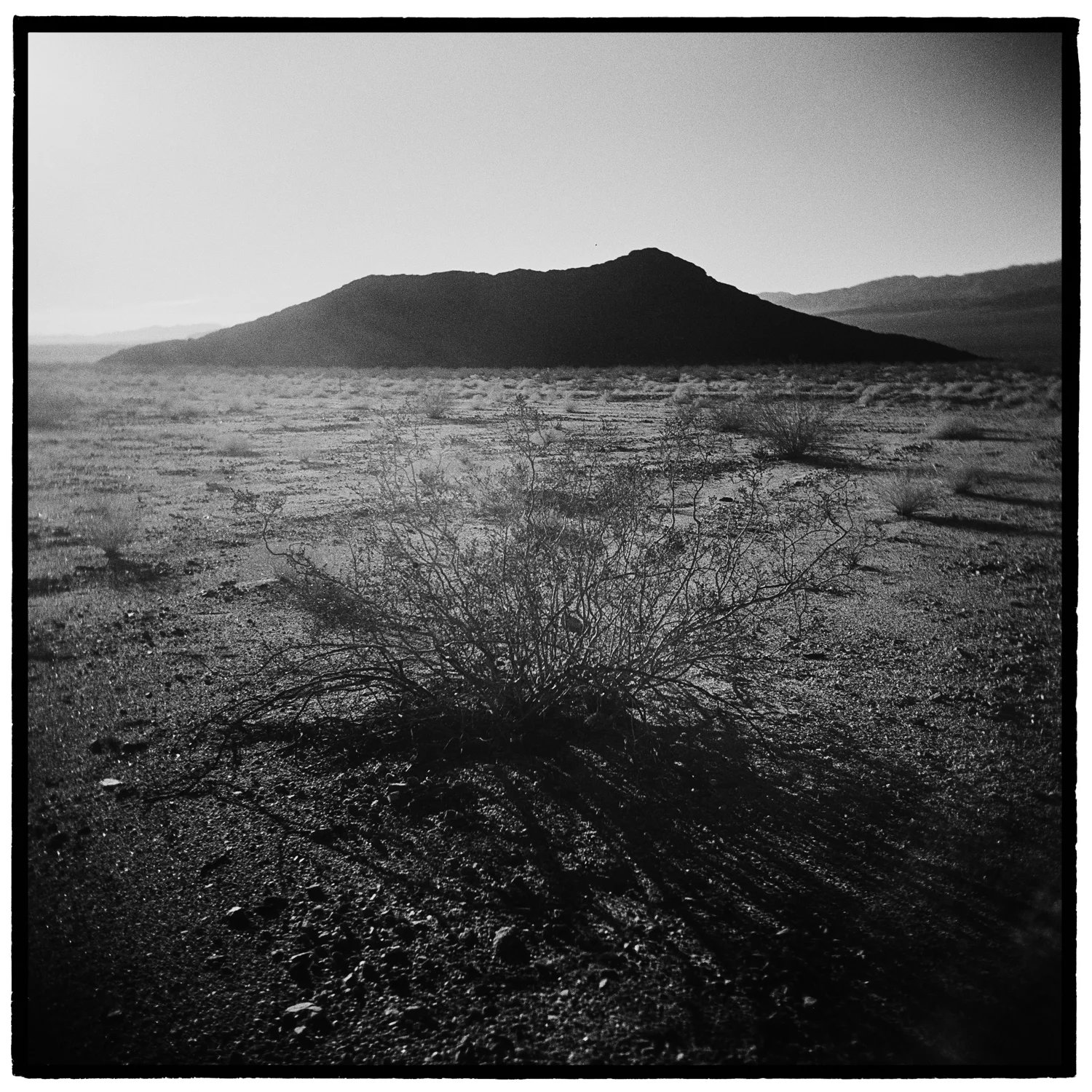 Amboy Crater, Mojave Trails National Monument, California