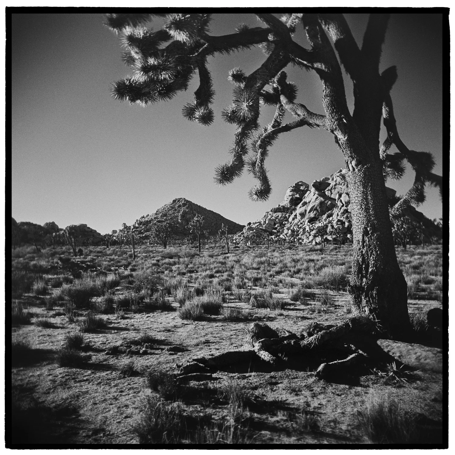 Hidden Valley, Joshua Tree National Park, California