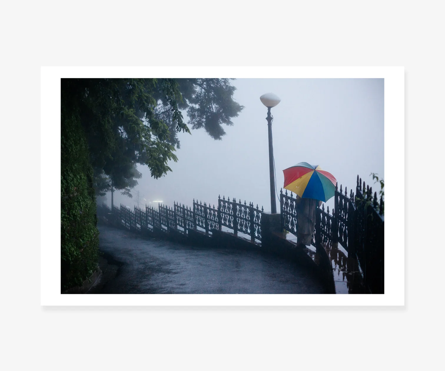 Fog.jpg