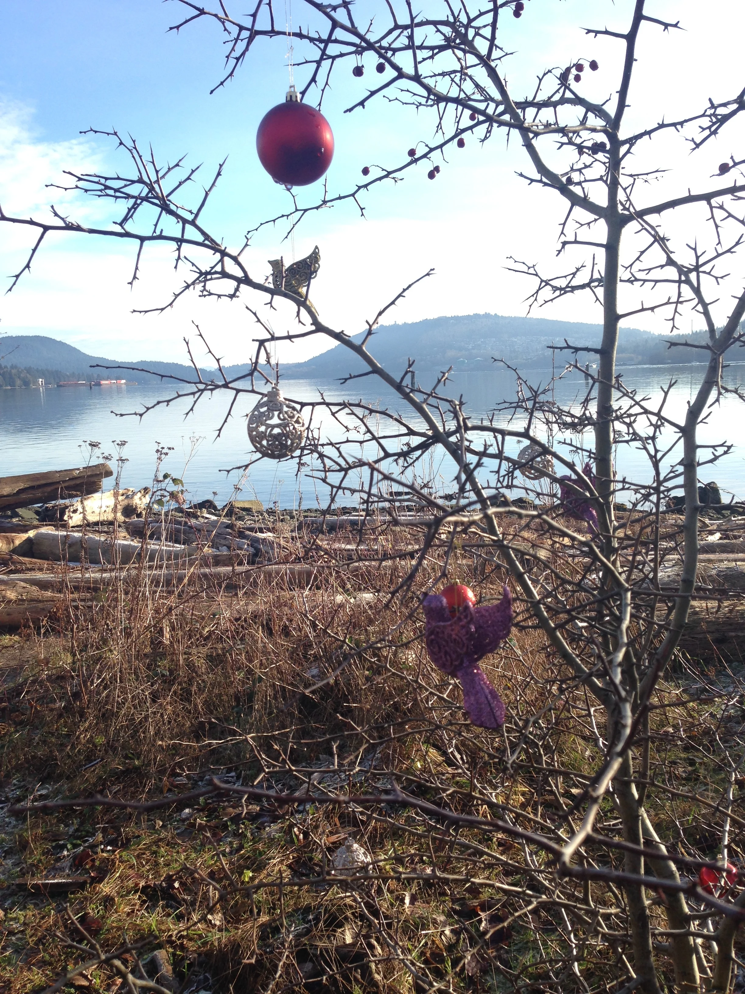 #christmas tree by the #sea
