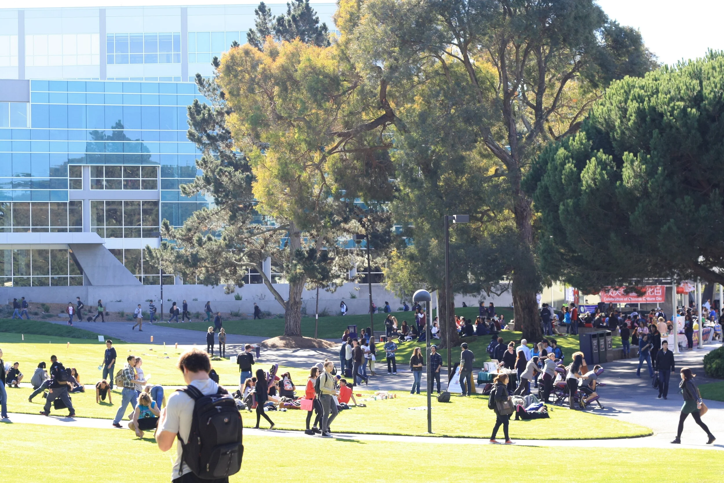 SFSU Campus Background Photo - Square Space.JPG