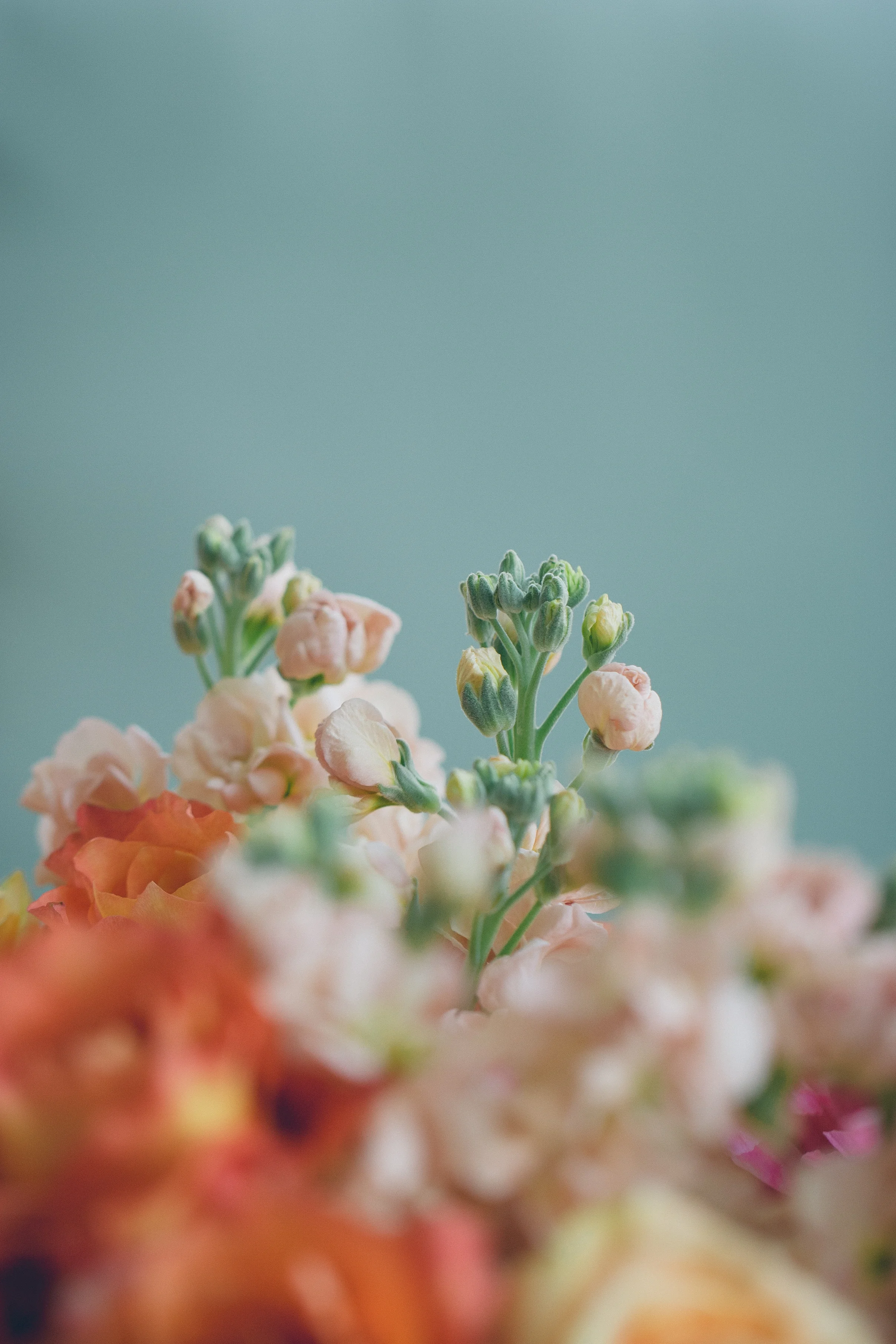 MayWedding_0015.jpg