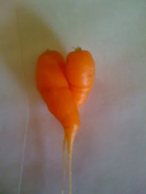 carrot-hearts.jpg