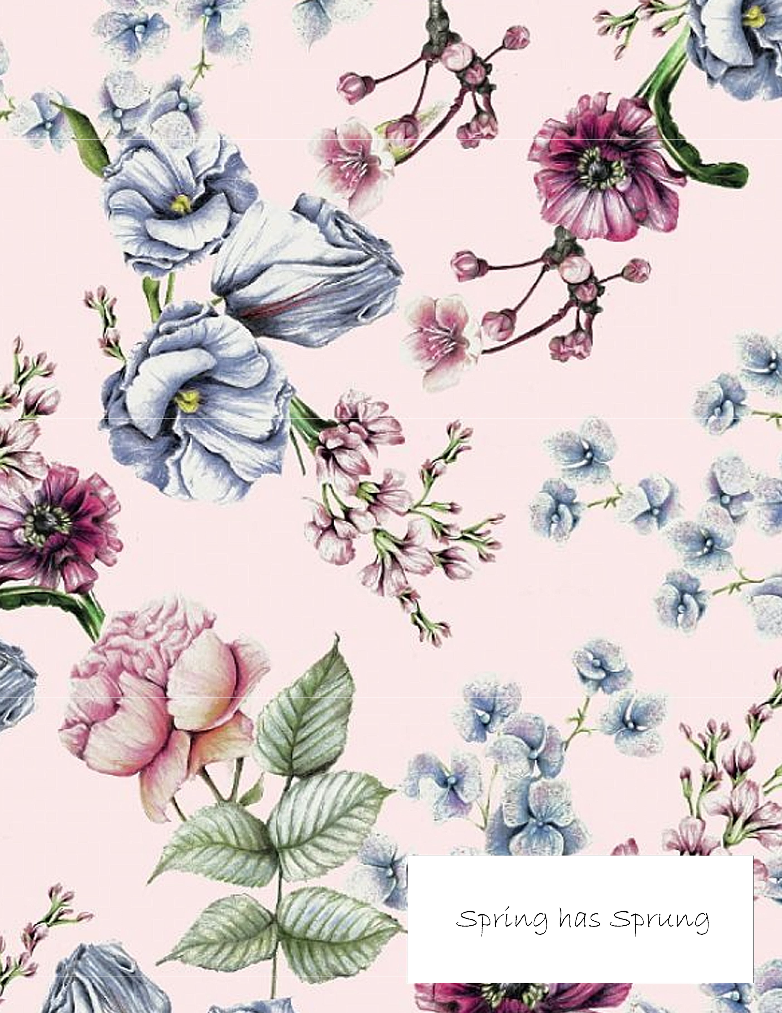 Alexandra Morgan Clinton Sample Work 1-1.png