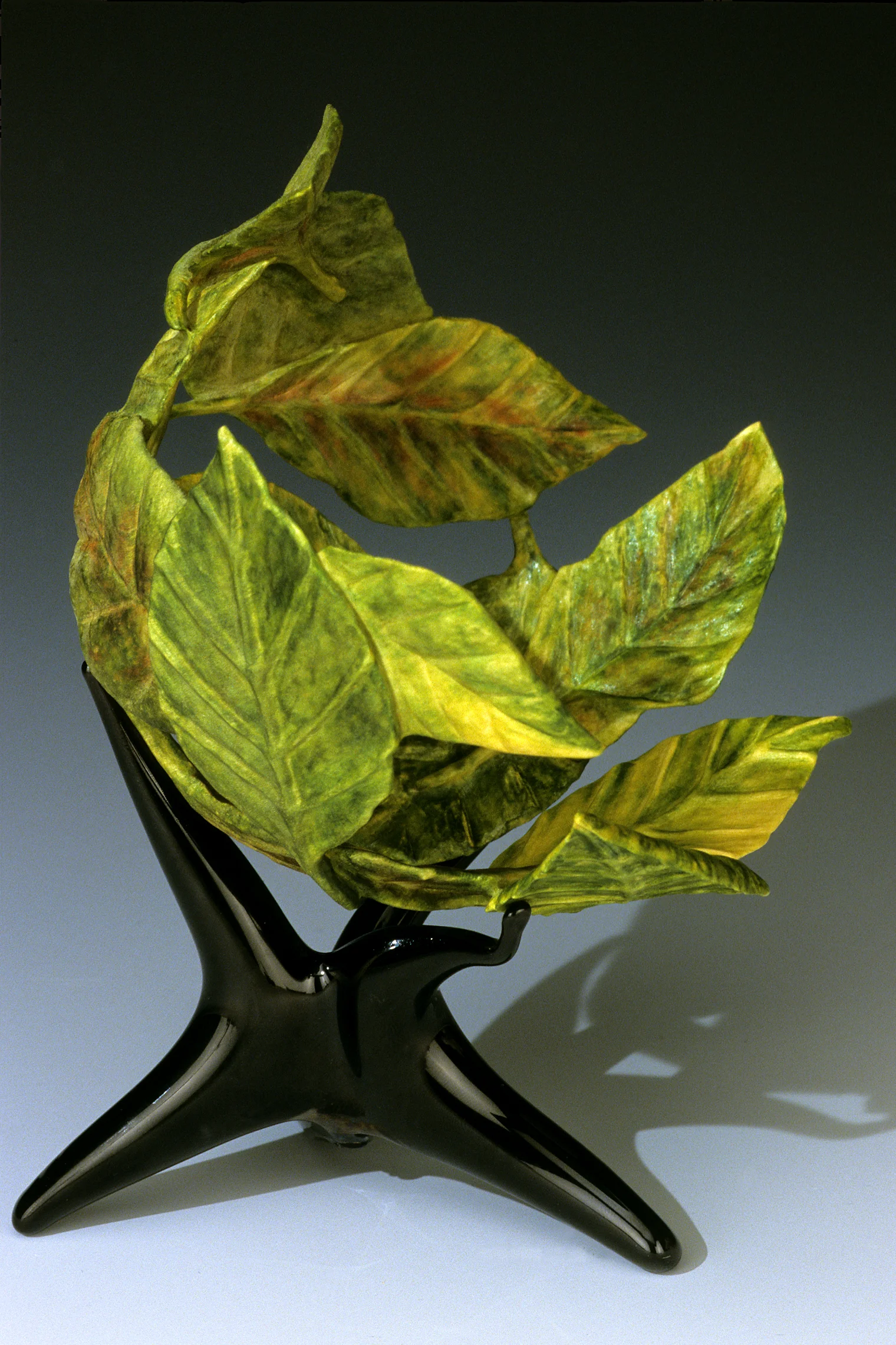 Verdigris